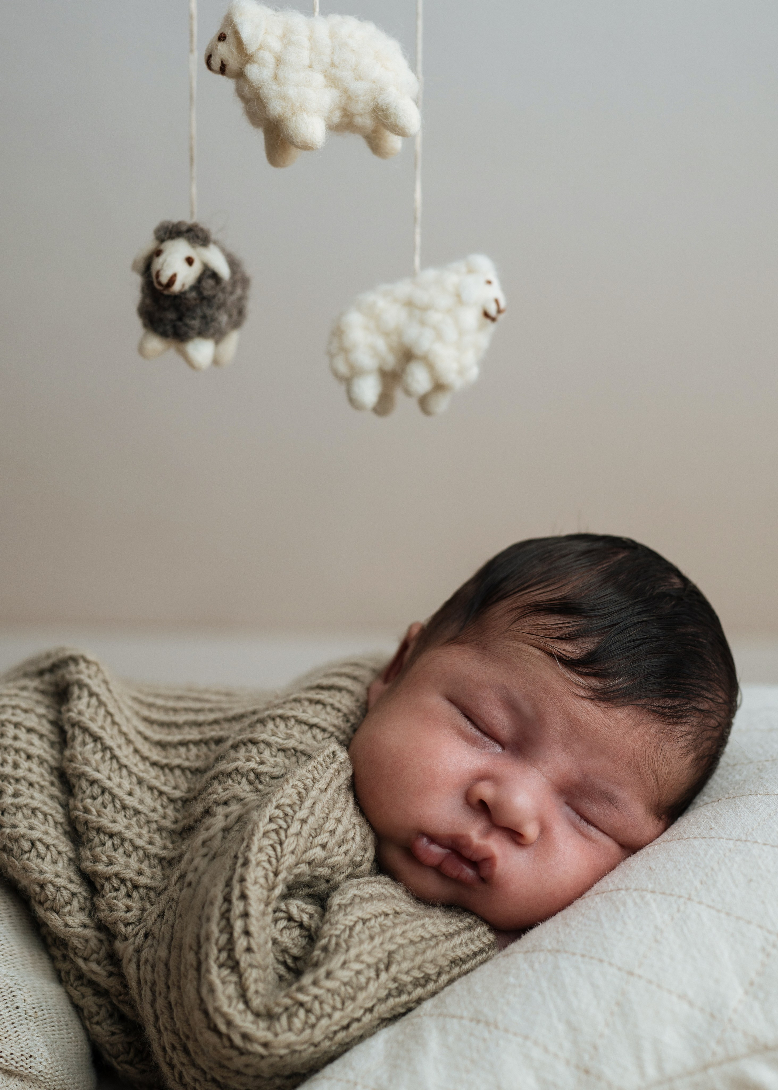 Newborn Studio. Katerina Sellitti - Newborn Fotografin aus Bern. Schweiz