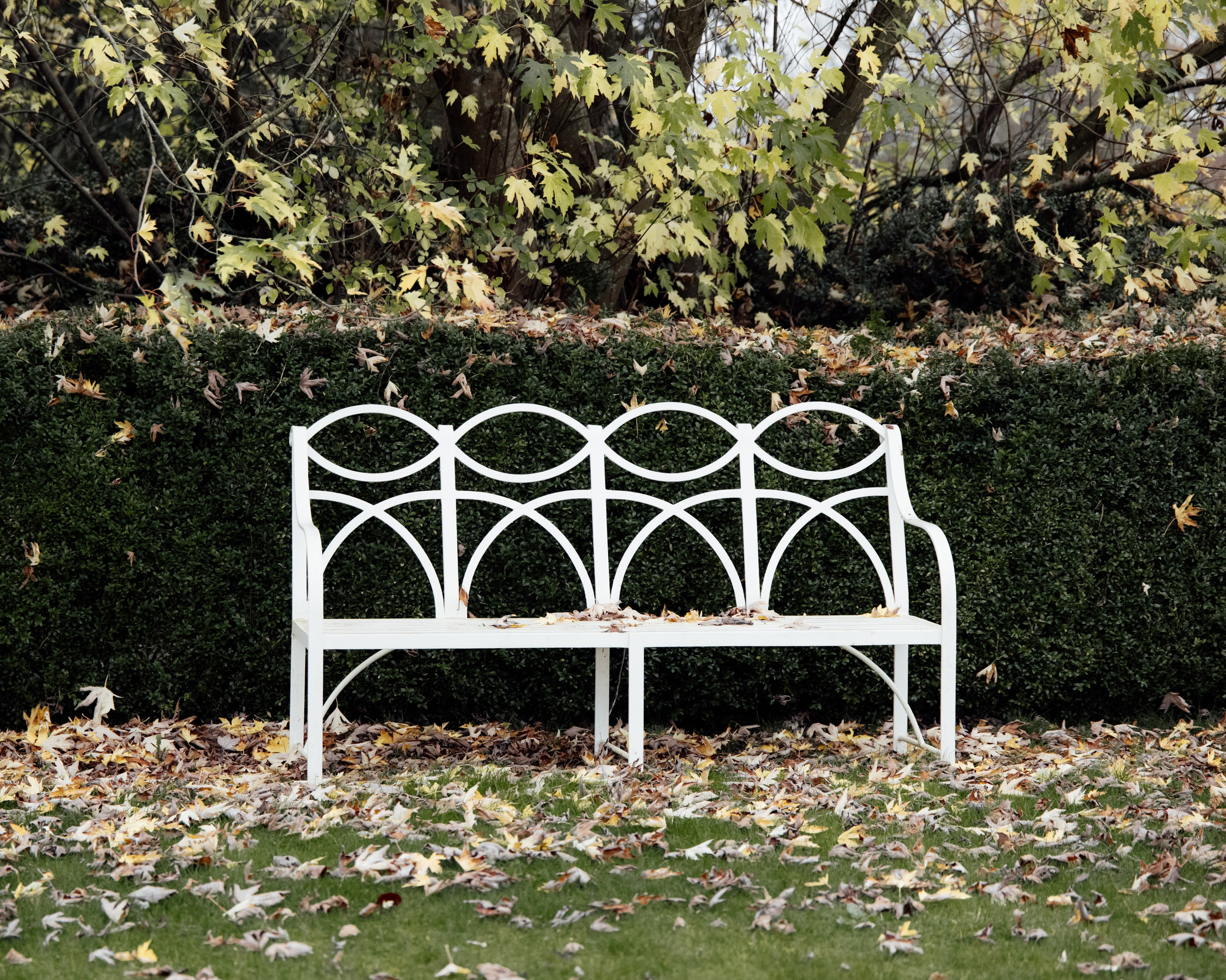 London based Editorial Wedding photographer.Capturing Your Luxury Moments: As a wedding photographer, I blend documentary style with editorial flair to create stunning, authentic images. My approach ensures every candid emotion and elegant detail is beautifully preserved, making your wedding memories truly timeless. Experience the luxury of bespoke photography that tells your love story with both authenticity and sophistication.