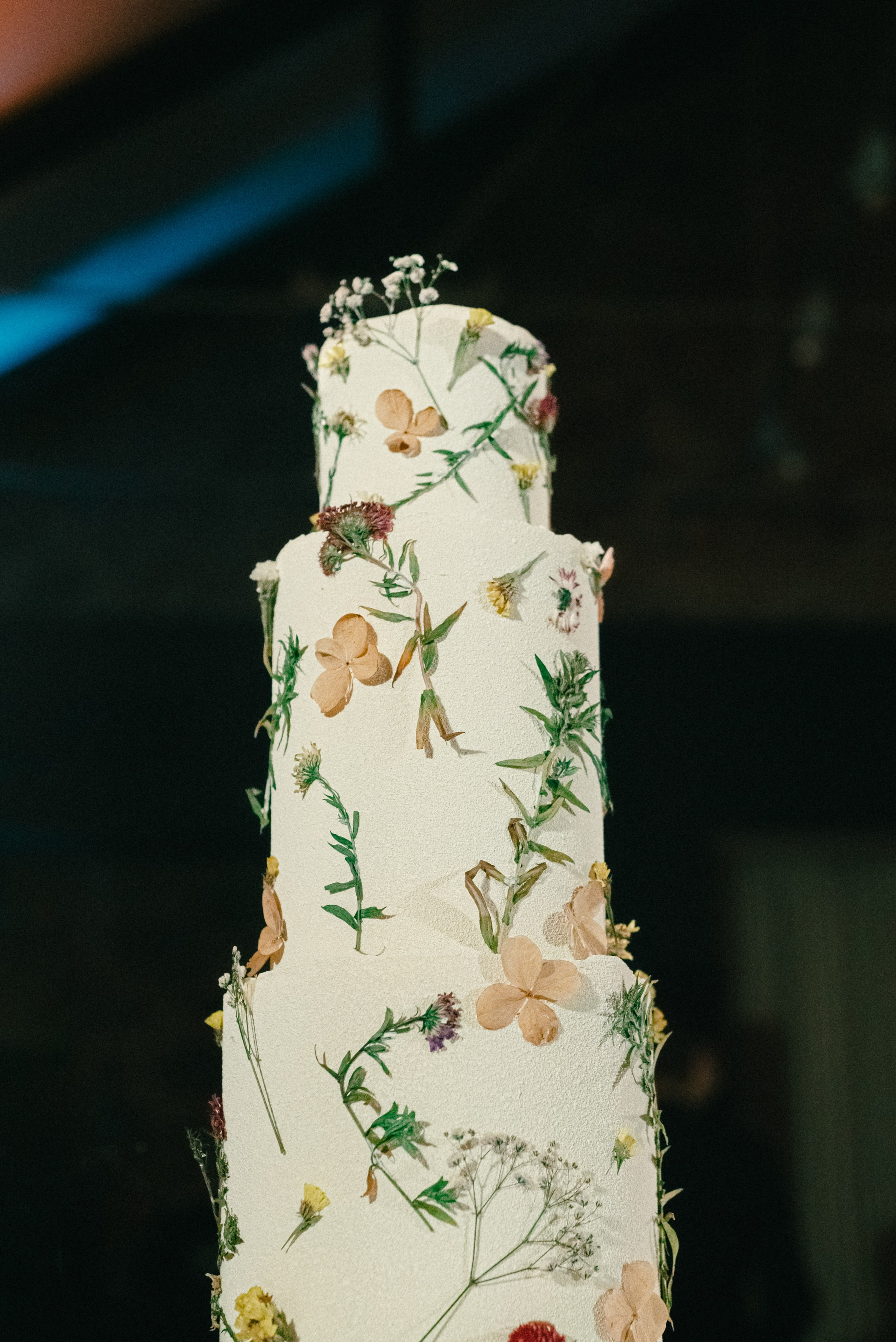 Yan & Elina wedding. Фотографы Минск и мир