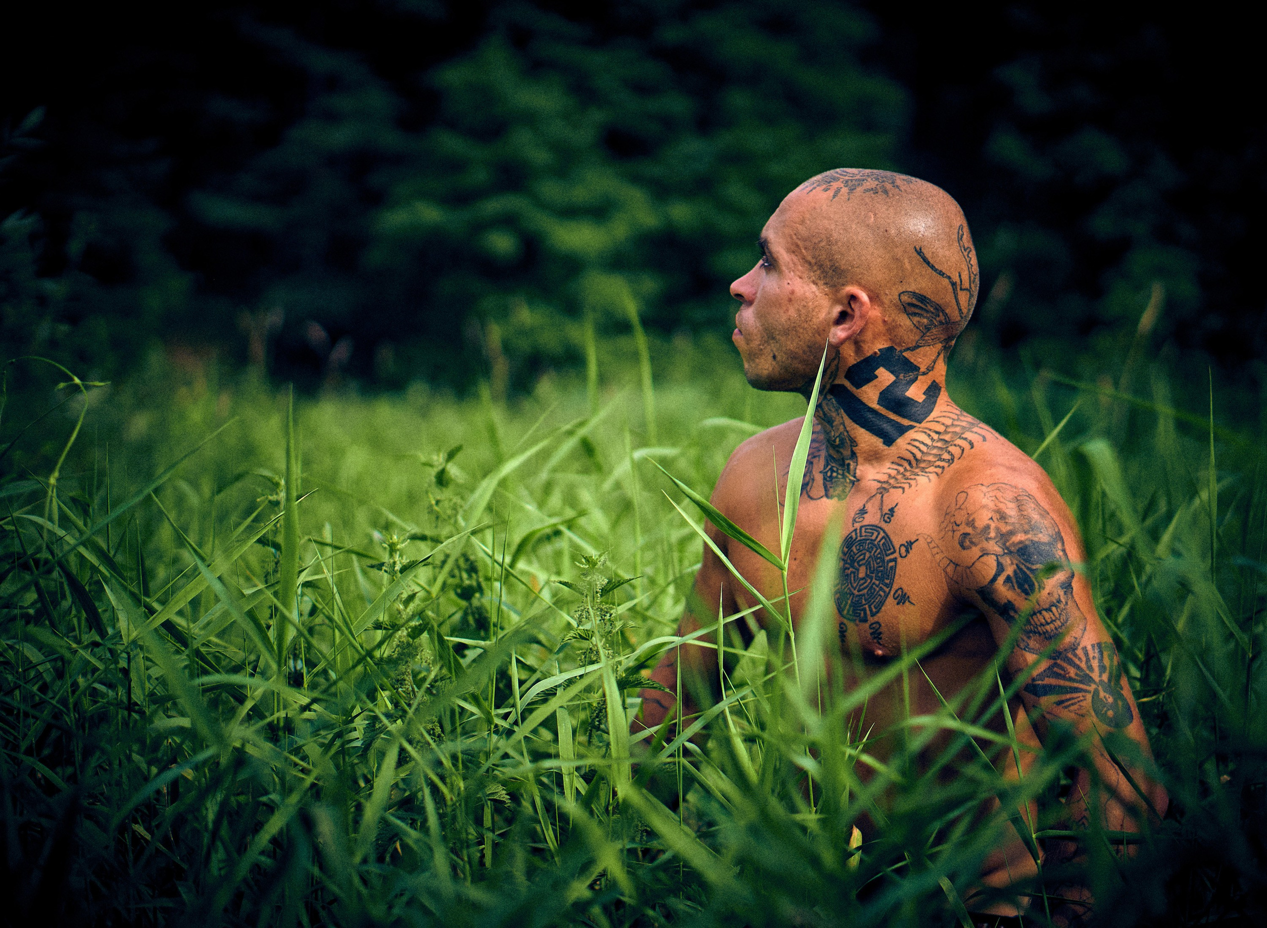 Organic Festival 2021 - креативный репортаж - Фотограф Андрей Шипилов. Андрей Шипилов — Фотография & Видеография