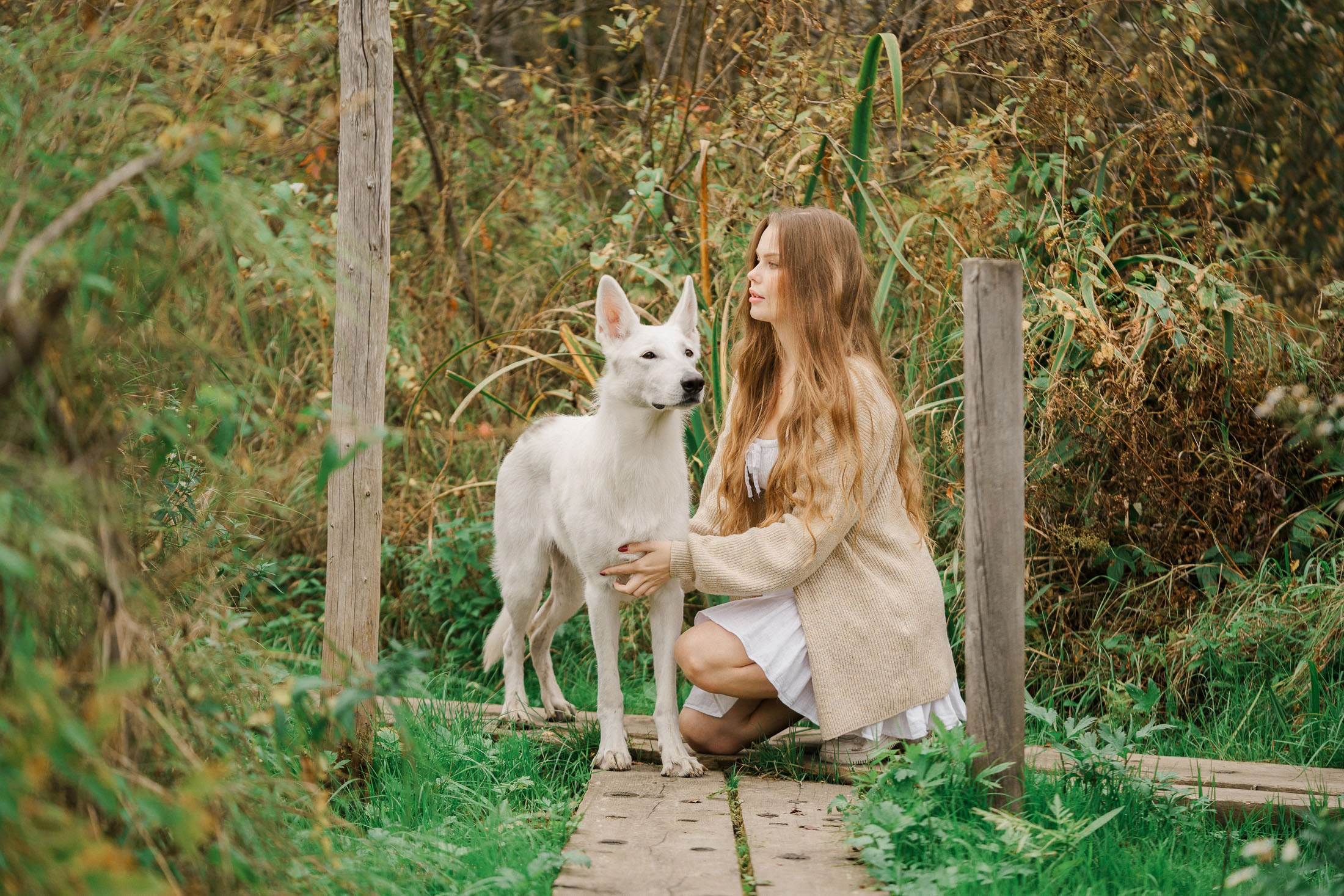 Syksyinen kuvaus rakkaan lemmikin kanssa