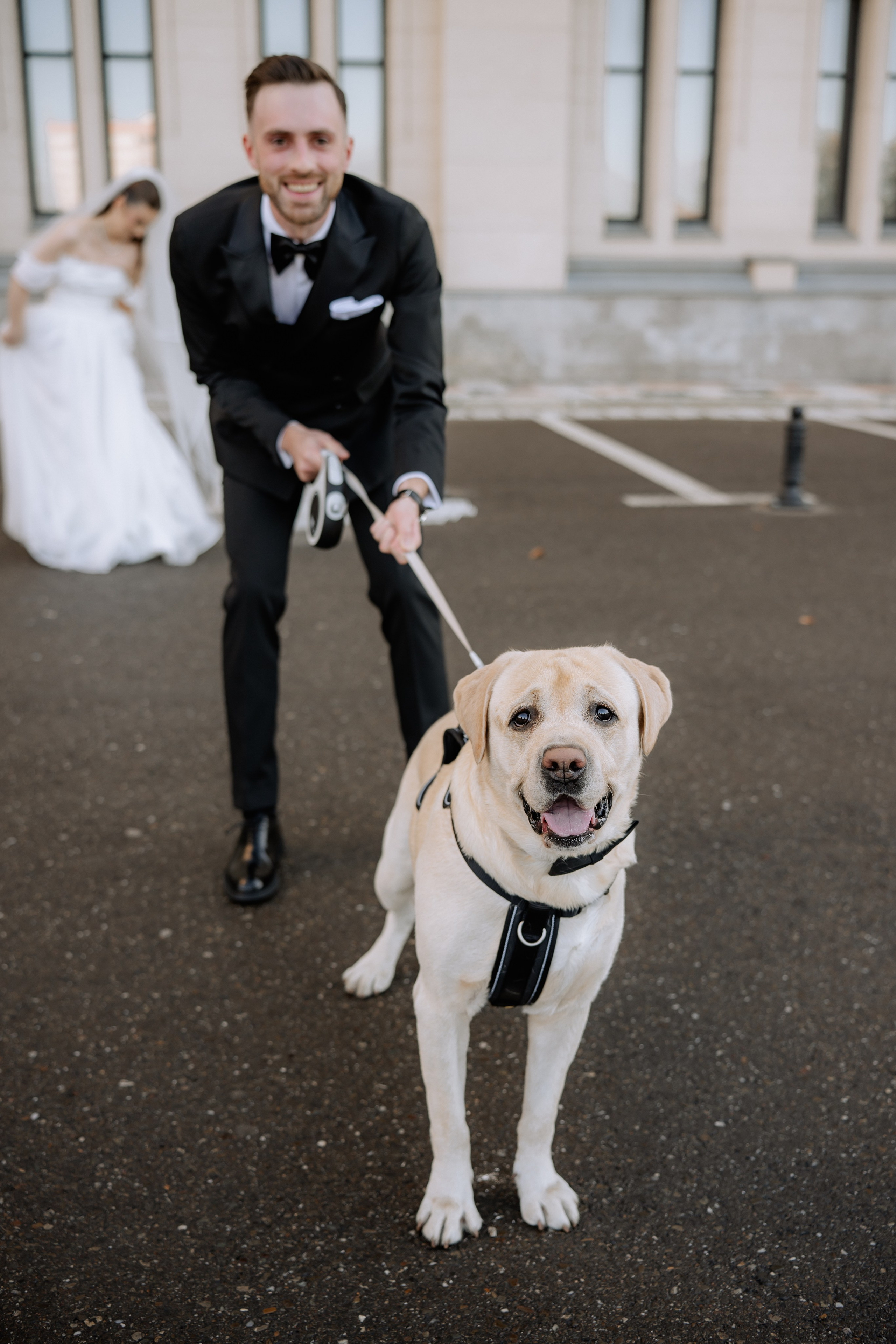 Proud Vision Weddings | Wedding Photography & Film — Servicii profesionale Foto Video Nunta Iasi