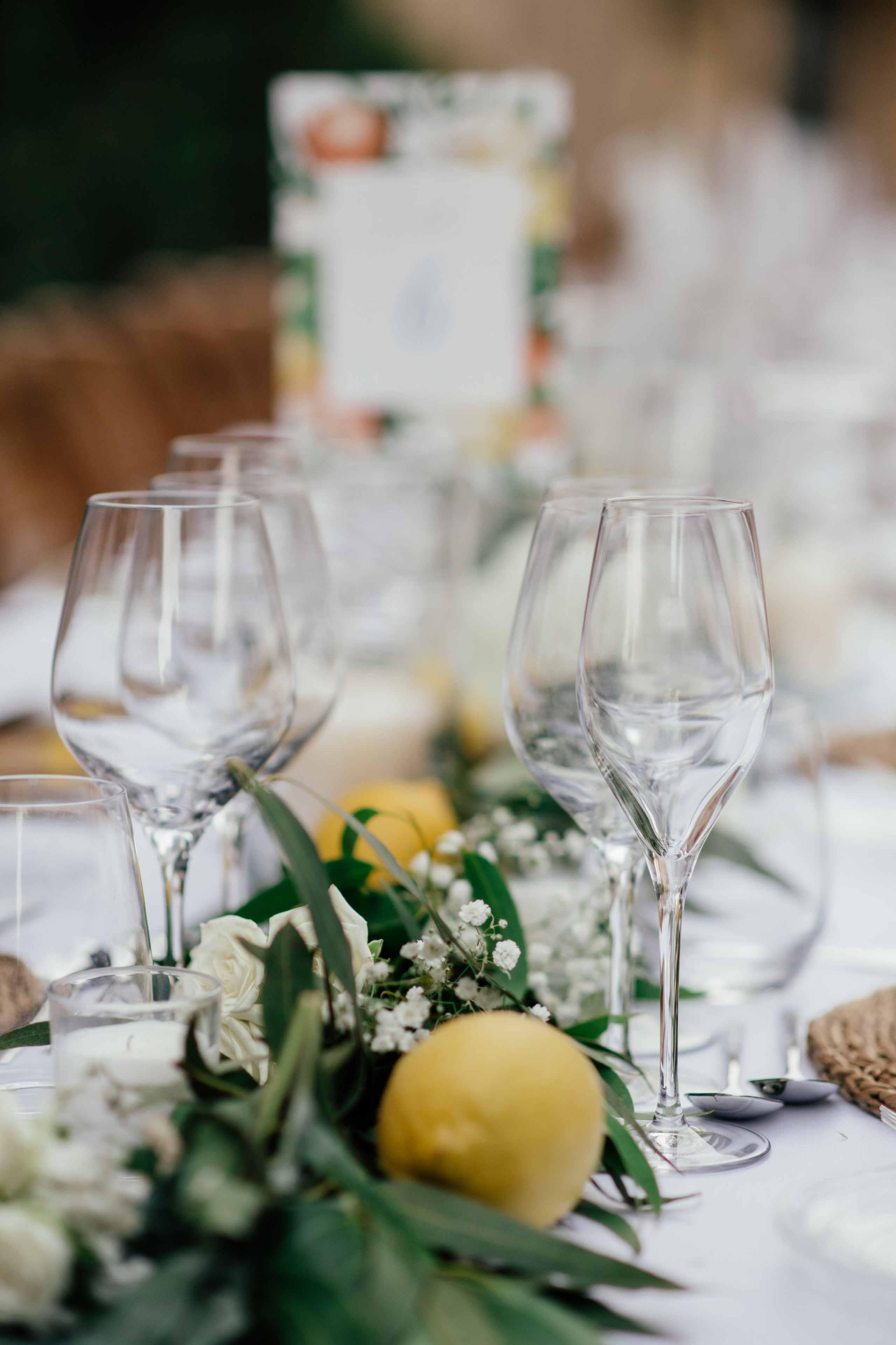 Alicia & Marc (Finca Marques de Montemolar)