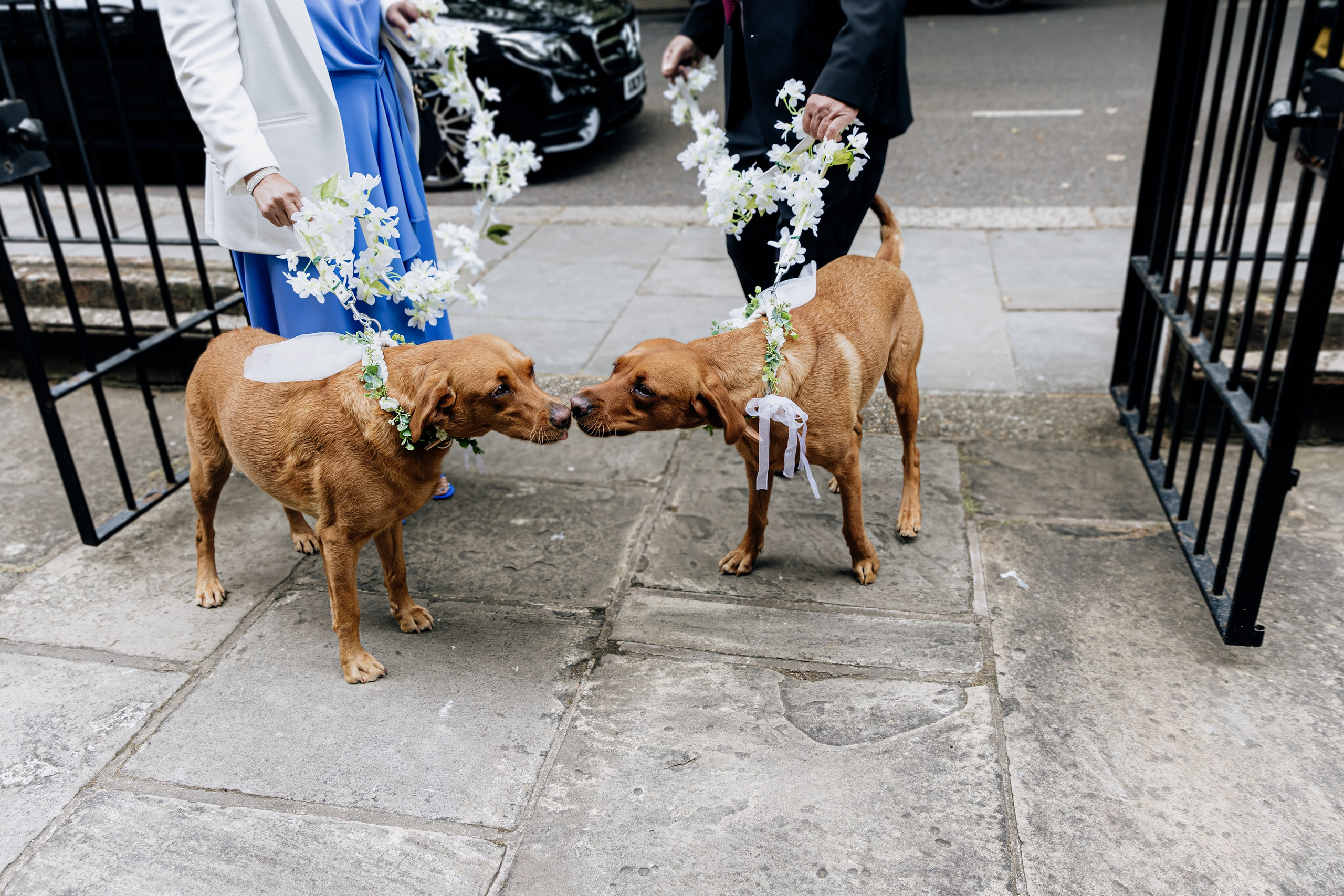 Elegant Wedding Photo Gallery. Timeless Wedding & Event Photography — based London, working across Europe