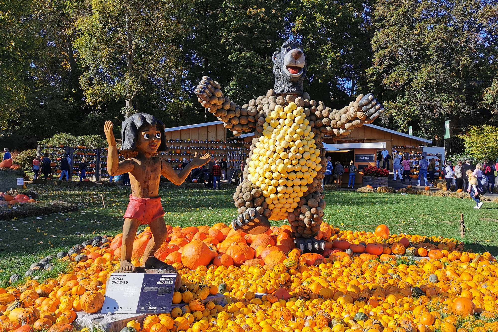 Фестиваль тыквы. Elina Reisen. Туристическое агентство в Аугсбурге