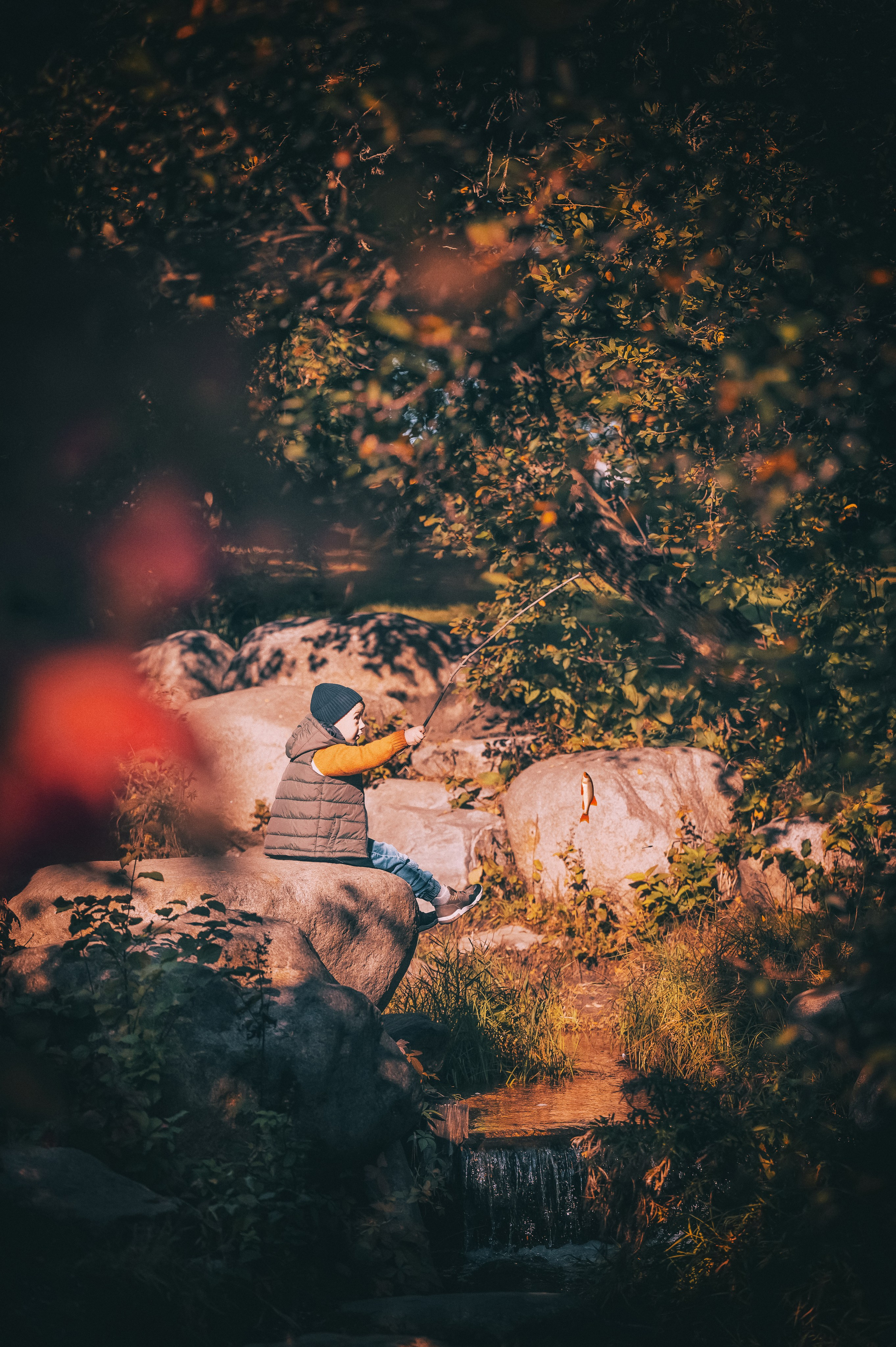 Fotograf in Berlin Brandenburg (Familien, Kinder, Paare, Hochzeiten)