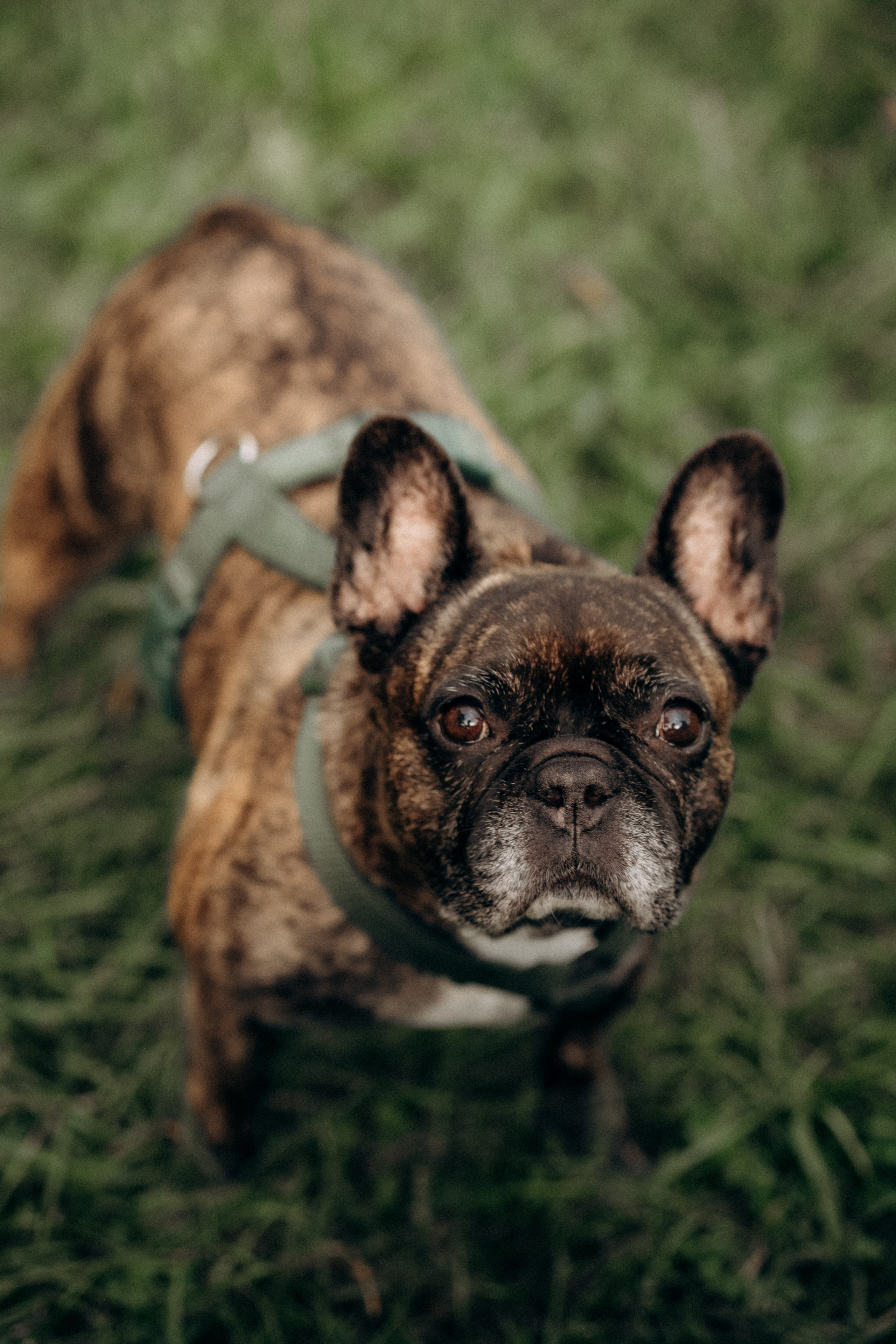 A Warsaw Family Day. Фотографы Минск и мир