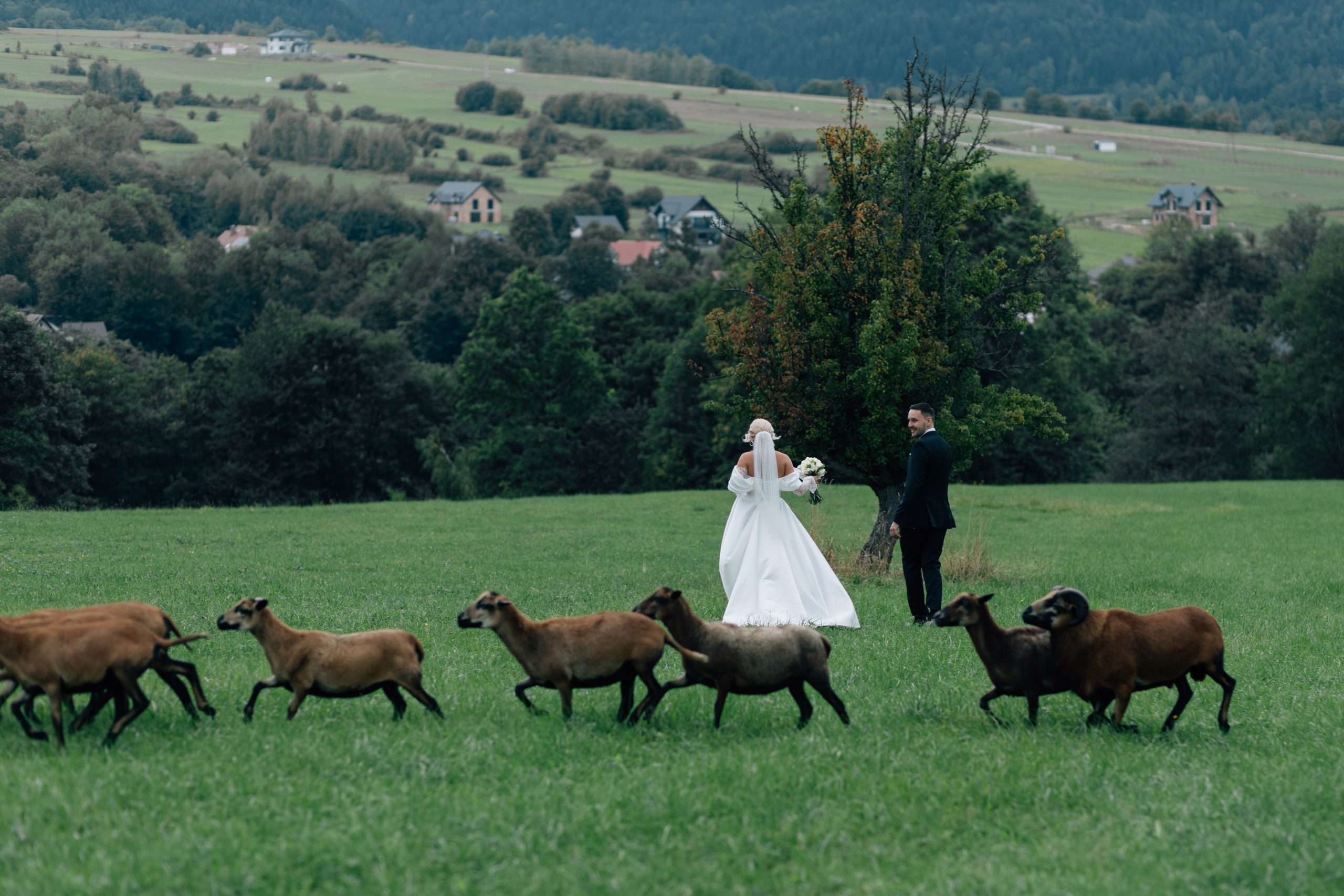 Wedding Day. Wedding photographer and videographer Europe