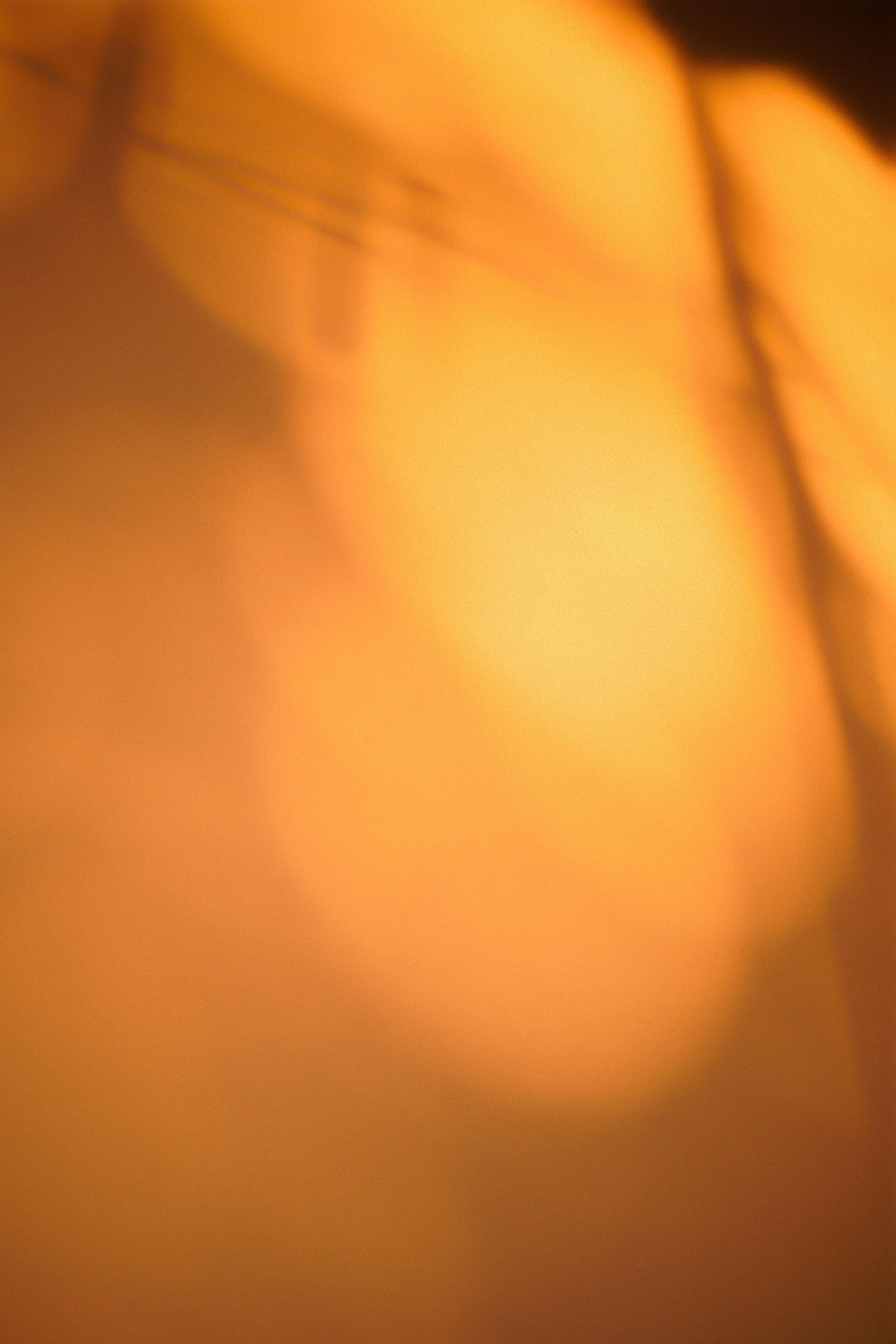 Sunset. Zhukov studio