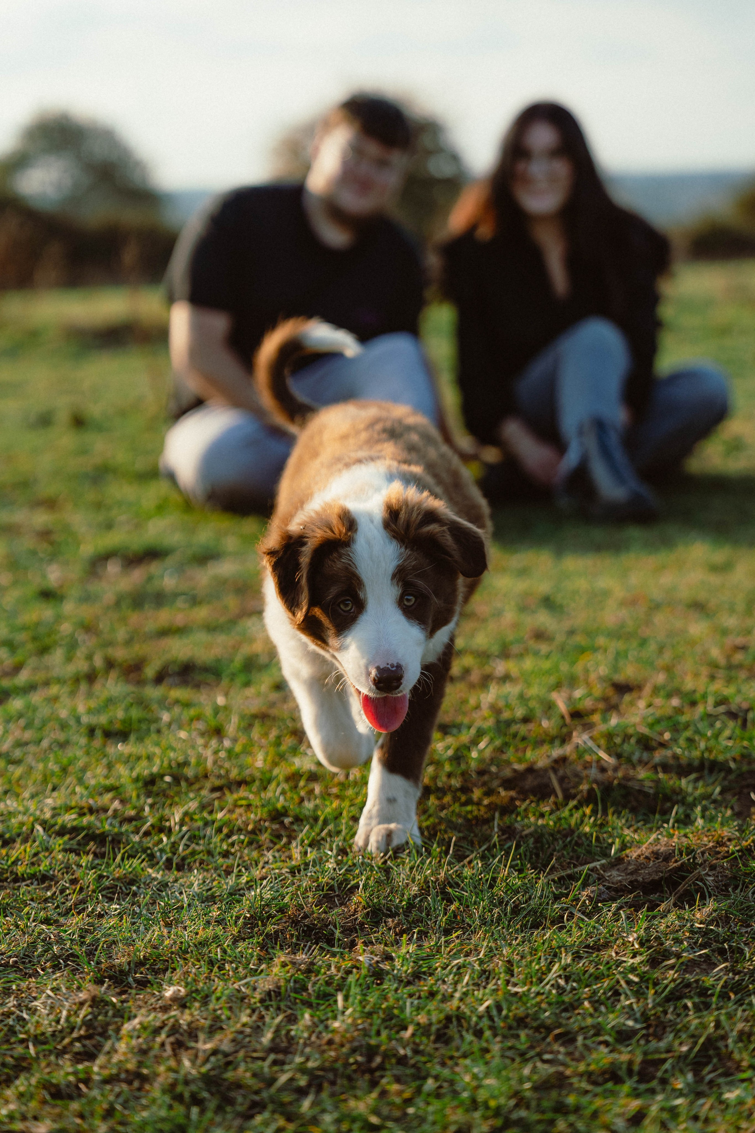 Victoria & Mehdi. Weeding photographer / event / portrait