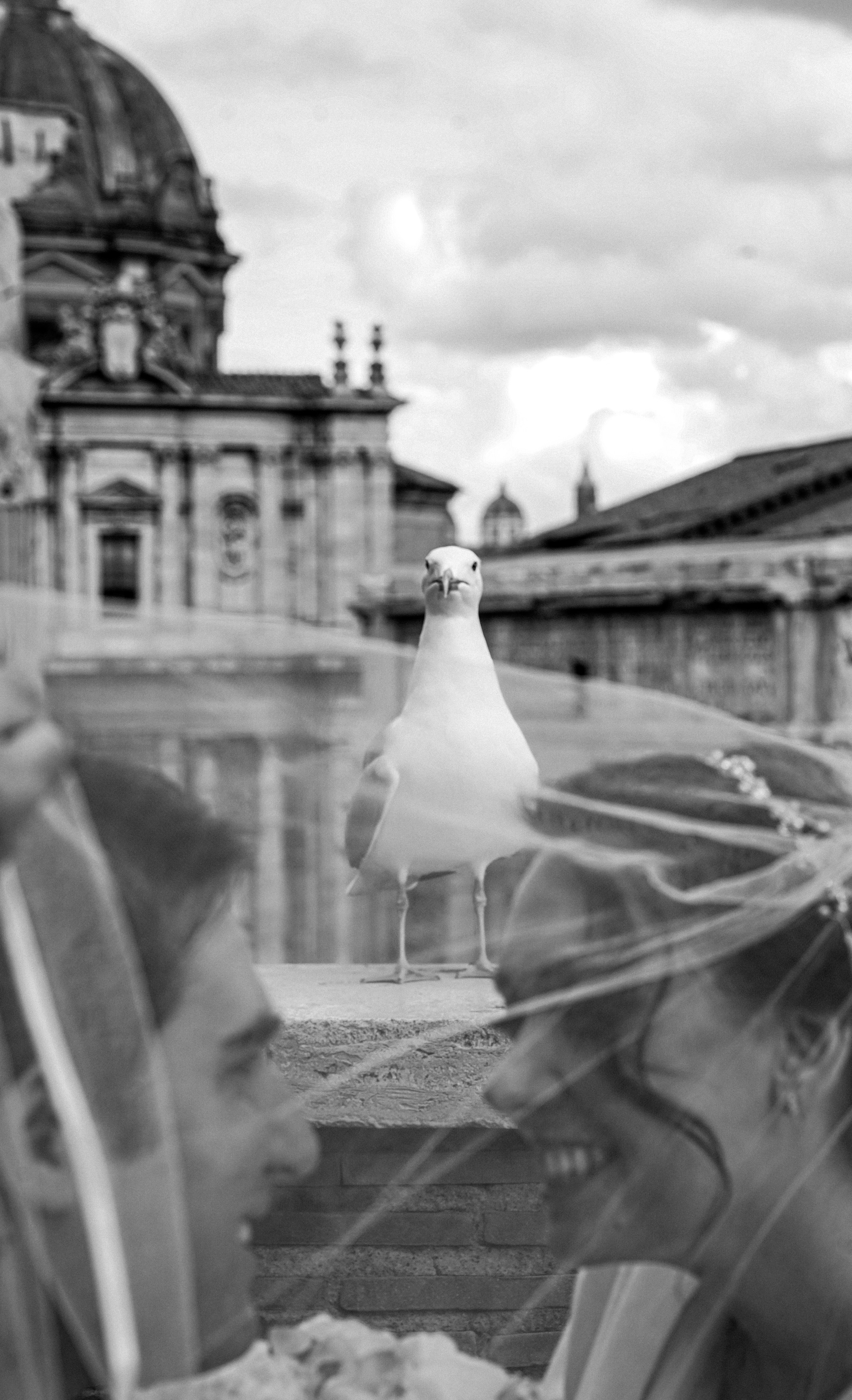 Ami e Matteo Roma. Photographer in Rome. Eugenio Photographer in Rome Photography in Rome
