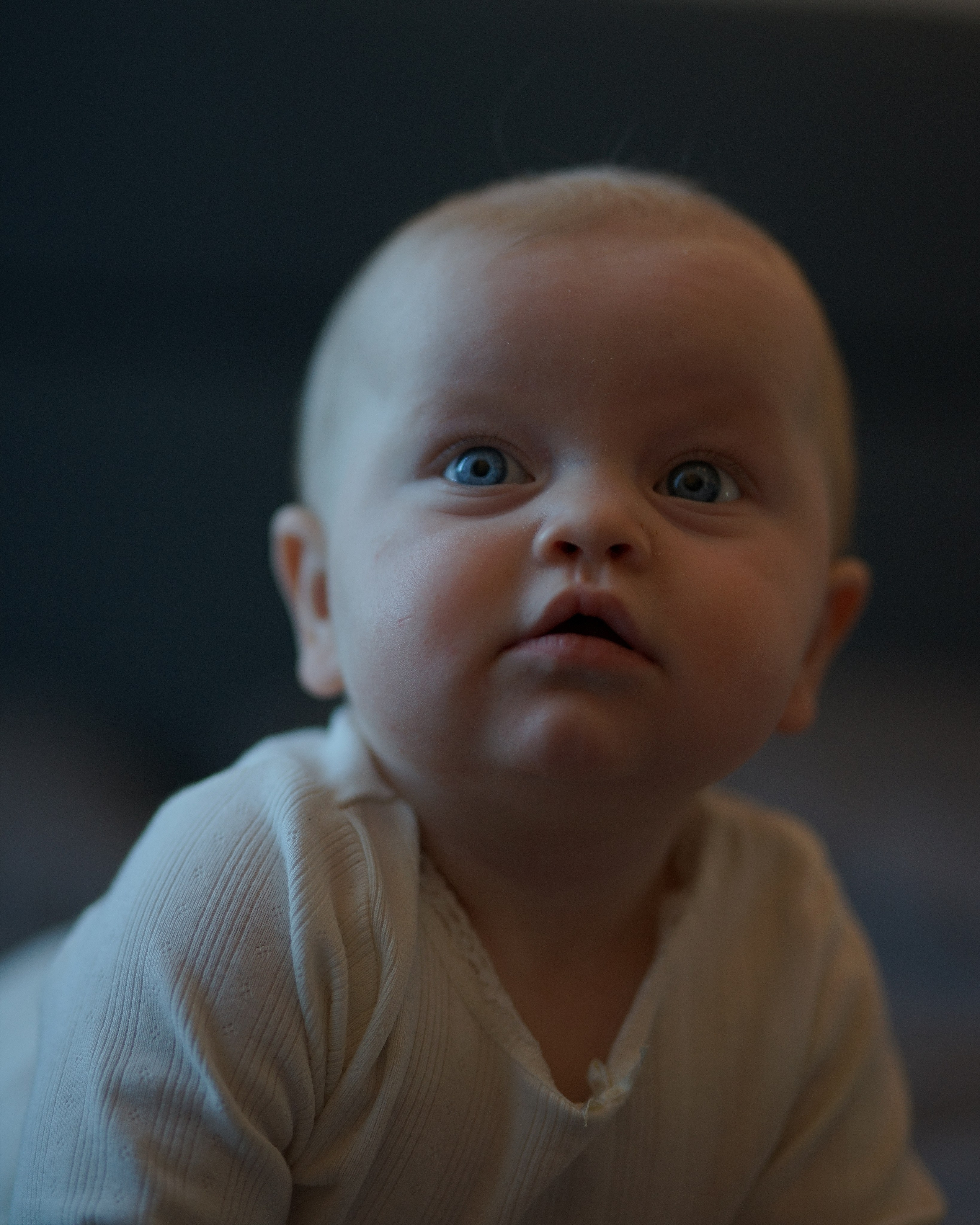 Family. Photographer in Copenhagen | Portrait, weddings, events, and more