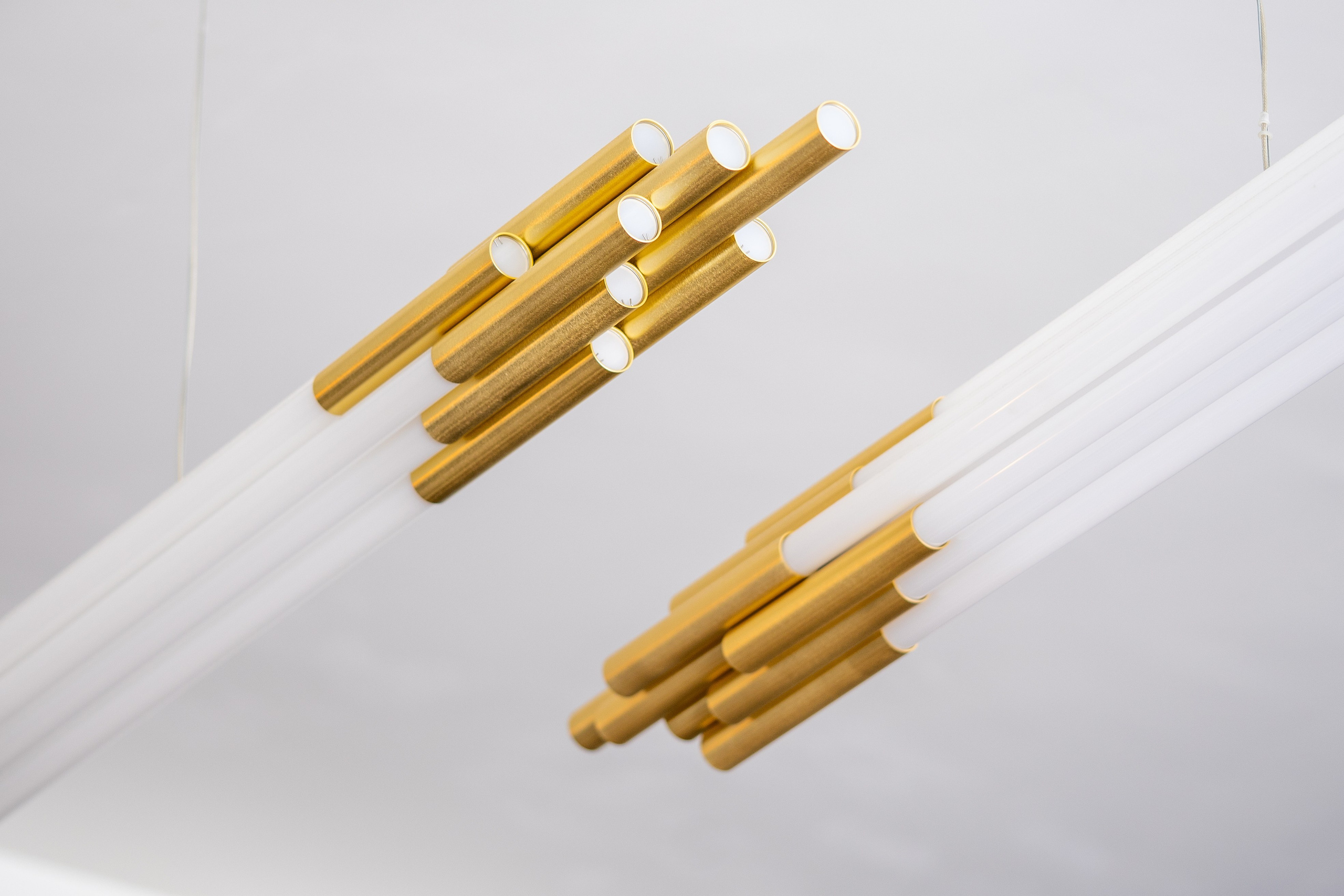 Borboleta. Maria Sher. Fotógrafa profissional do Porto, Portugal