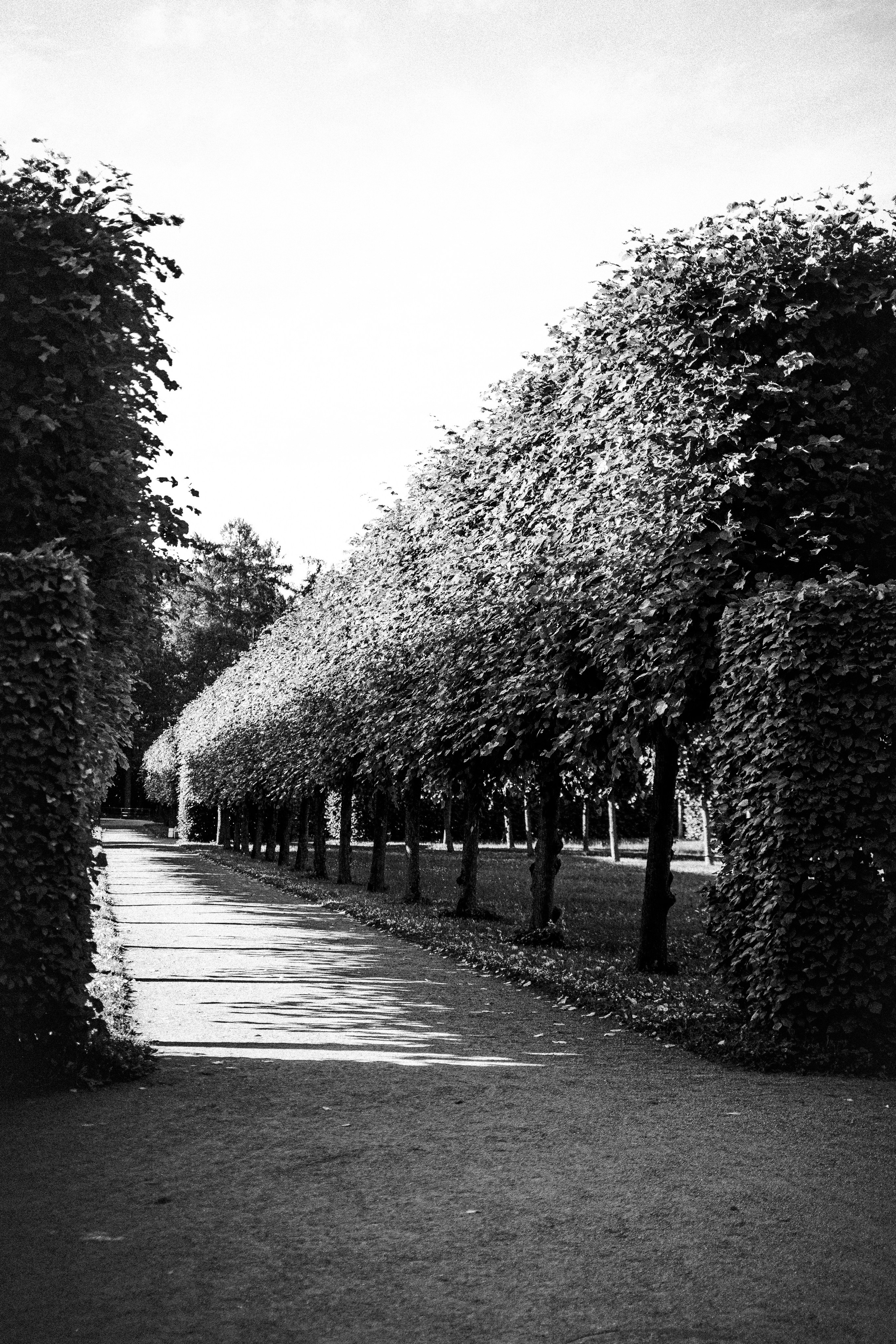 St Petersburg. Fotografinja in videografinja Mariia Bortiakova iz Slovenije: fotografiranje dogodkov, portretov in snemanje videov po vsej Sloveniji