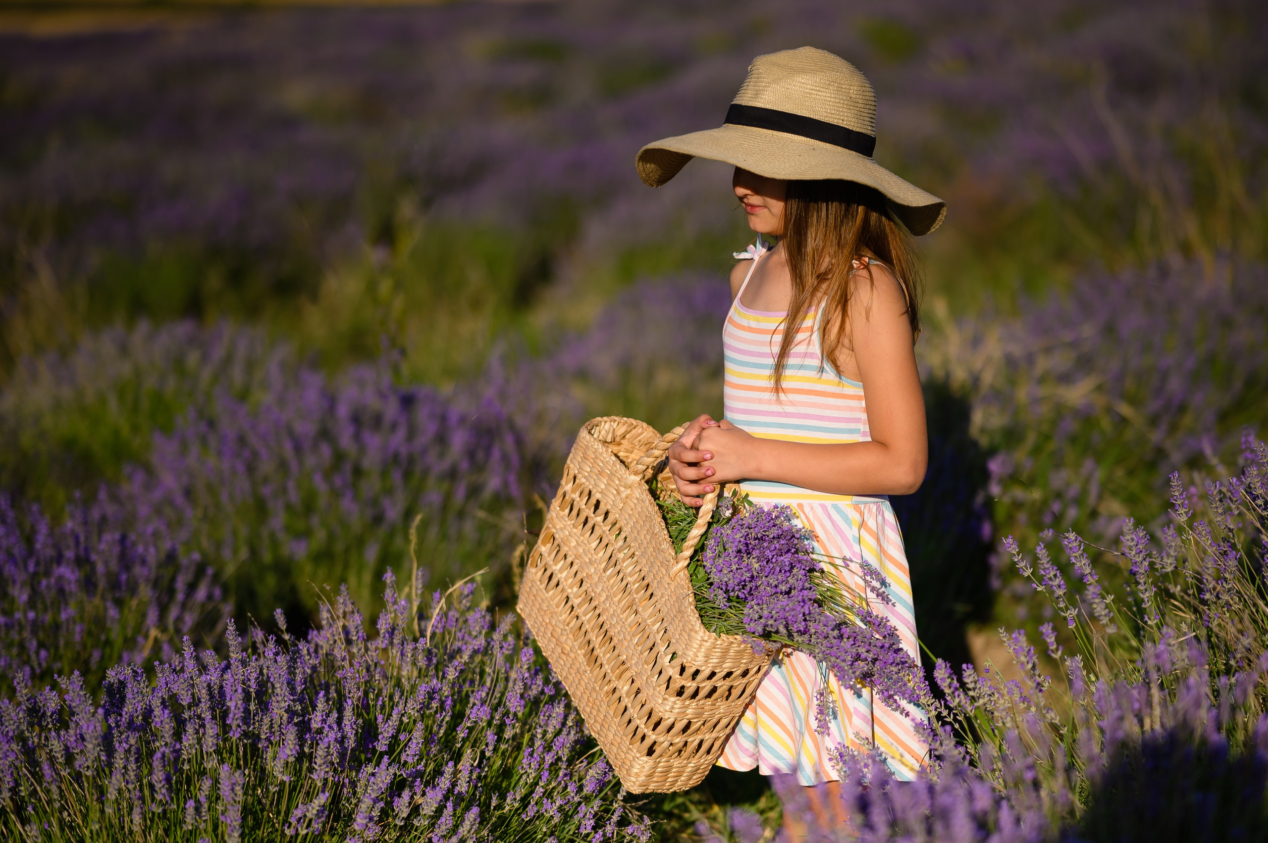 Şedinţe foto de familie. Ligiafoto.ro