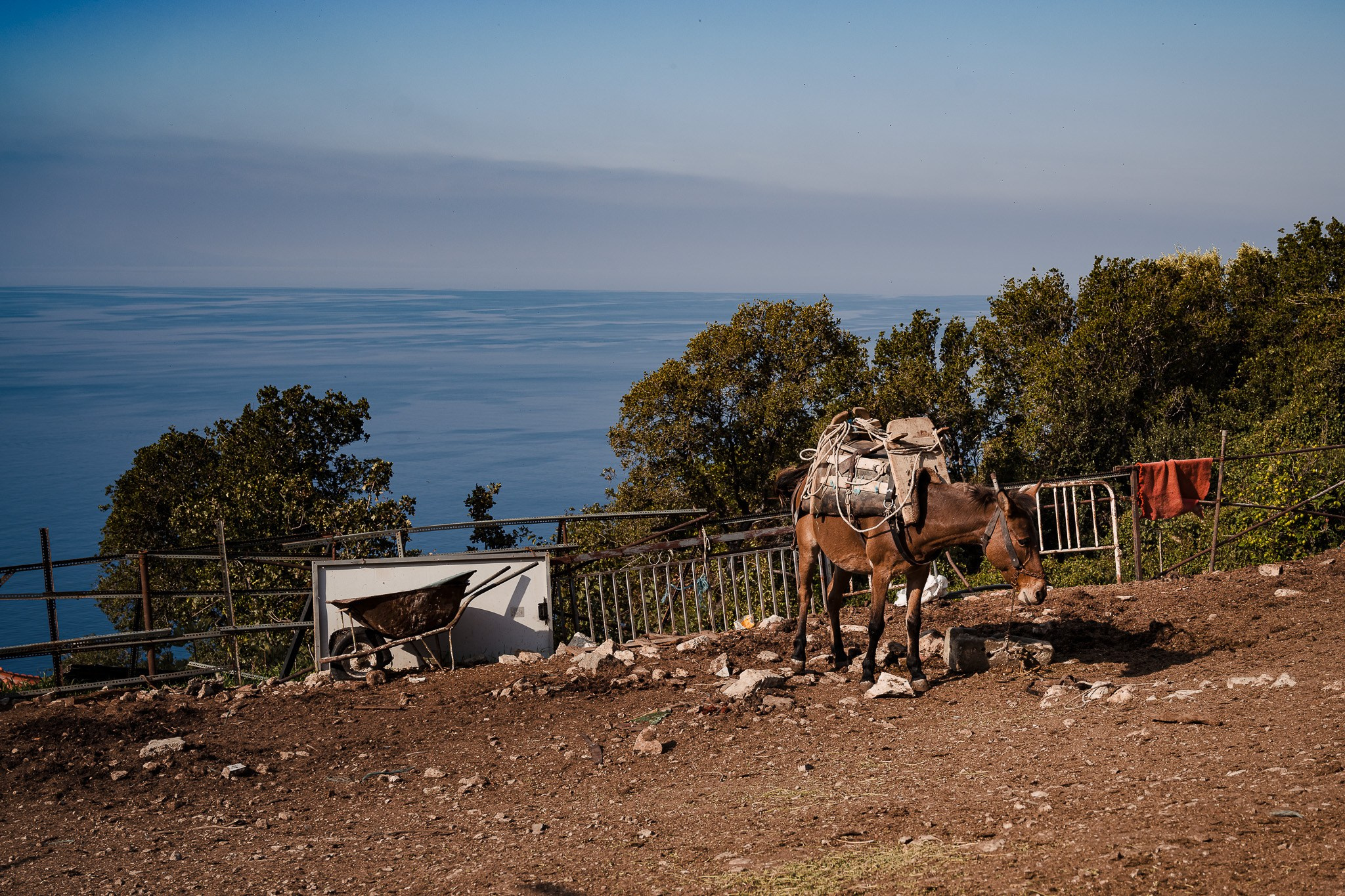 Pilgrim. Fotograf de nuntă Belgia - Stefan Bogdan | Fotograf roman