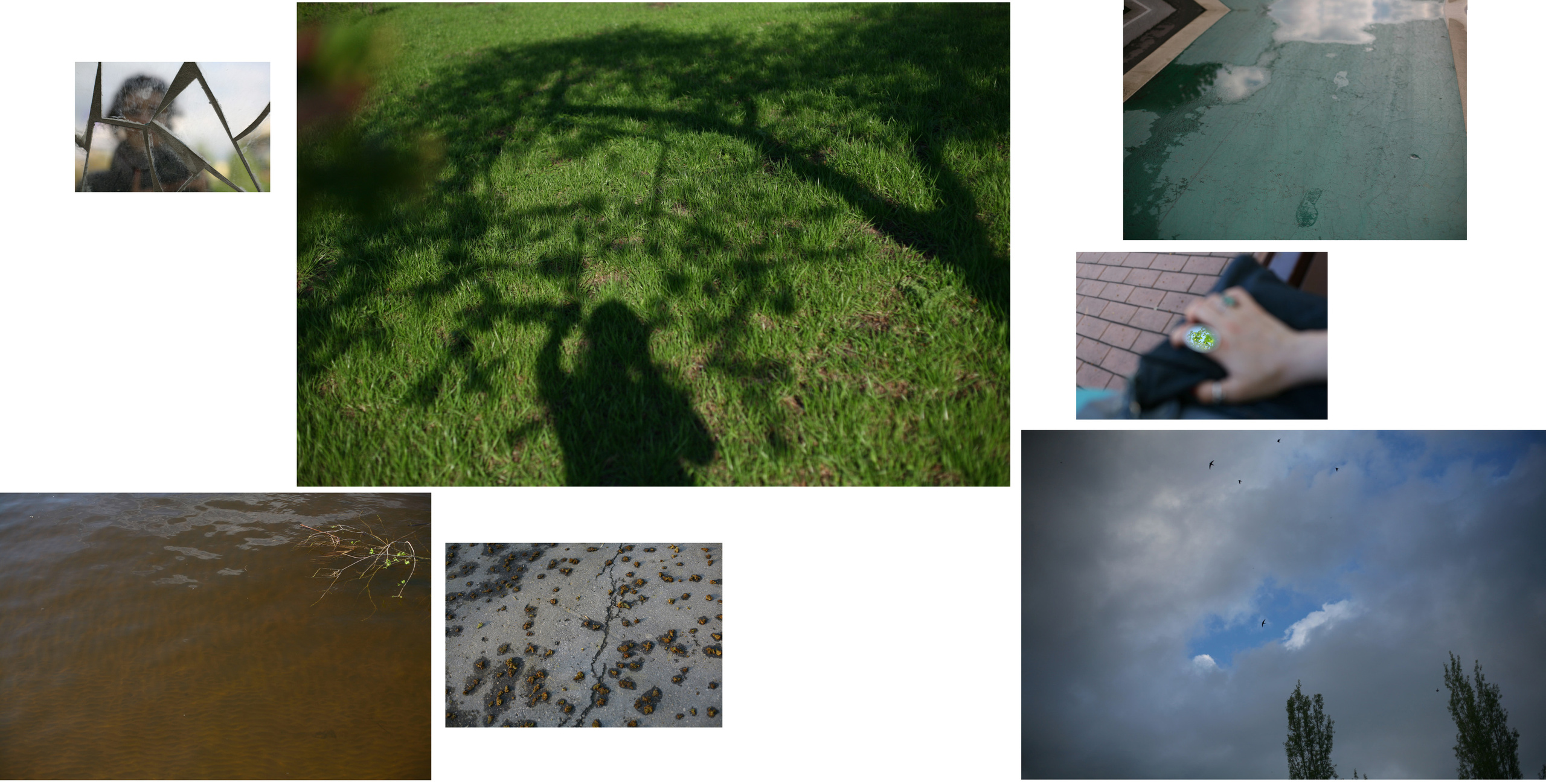 Письма моей матери. Виктория Дини. Арт-фотография