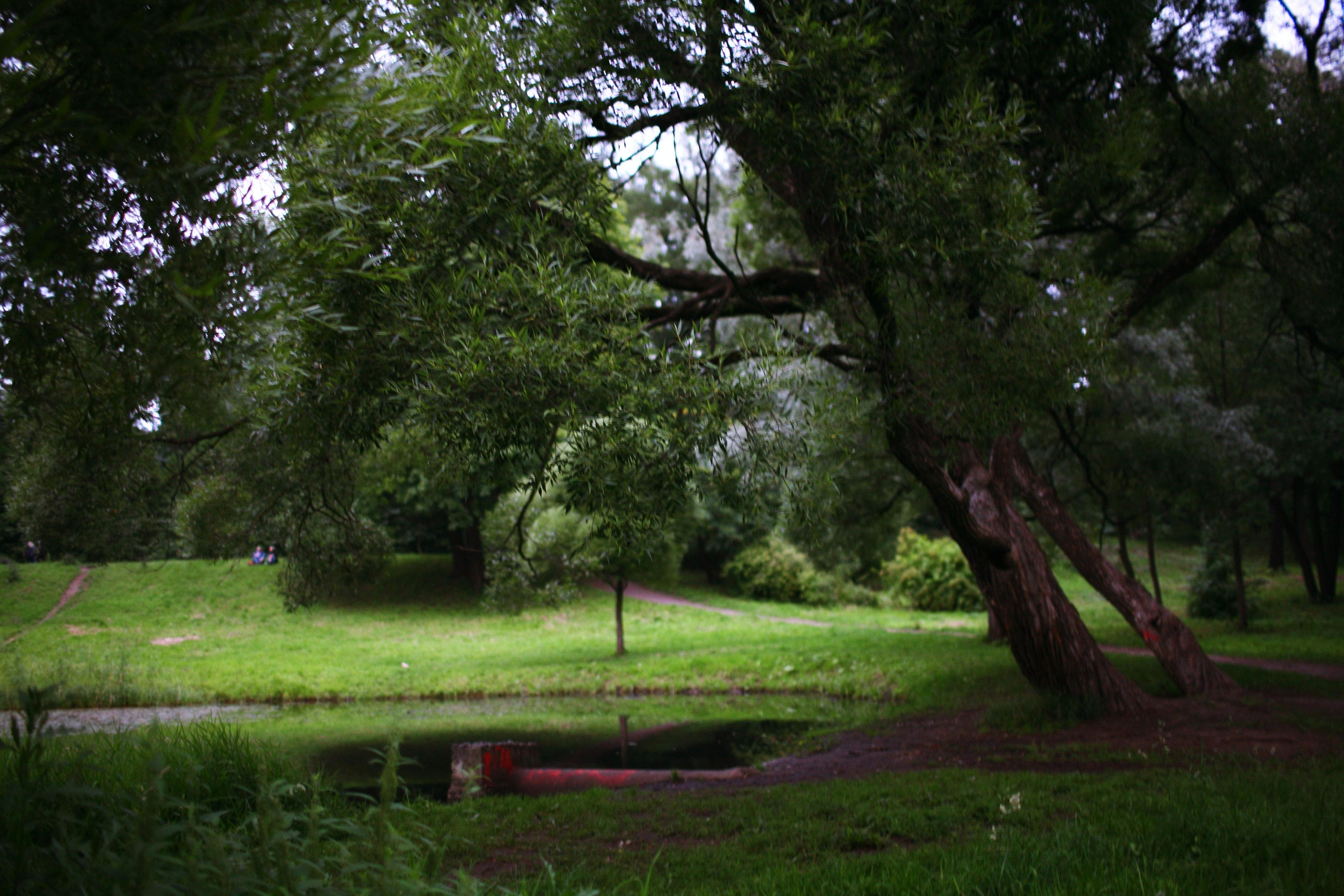Anna and the fire. Victoria Dini. Art photography in London / Folkestone, UK