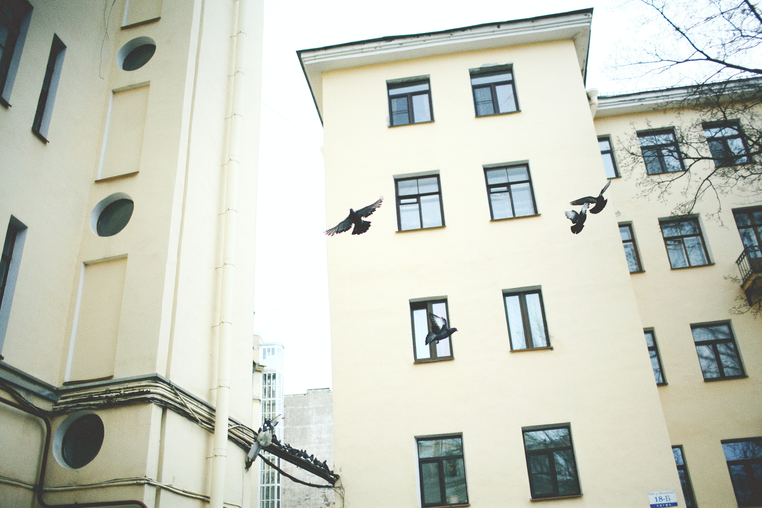 Anna and her Piterdays. Виктория Дини. Арт-фотография