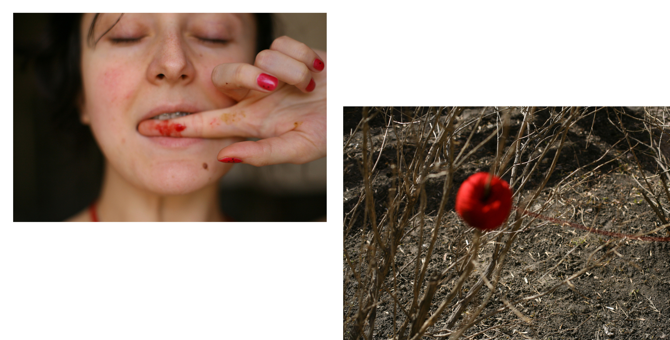 Письма моей матери. Виктория Дини. Арт-фотография