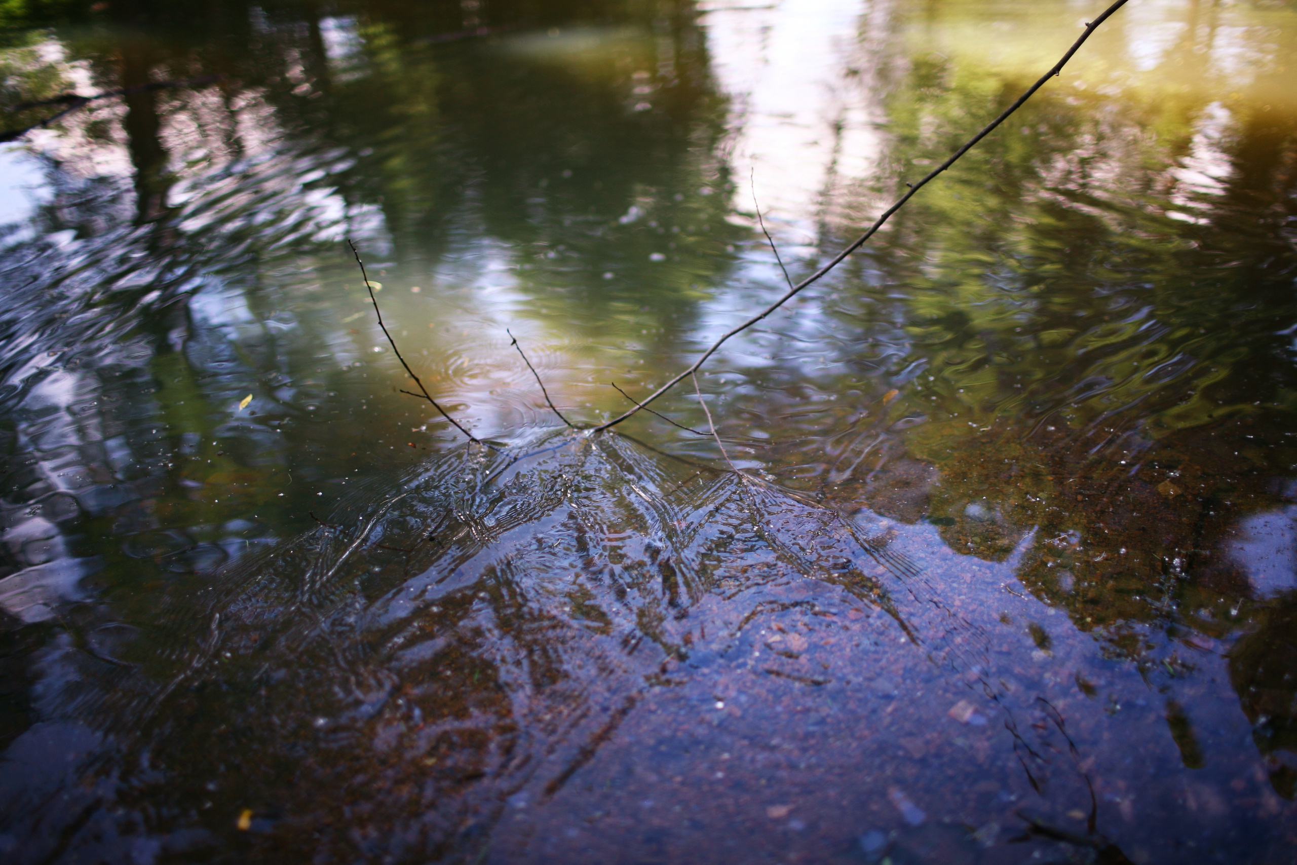 Milena, driades' daughter. Victoria Dini. Art photography in London / Folkestone, UK