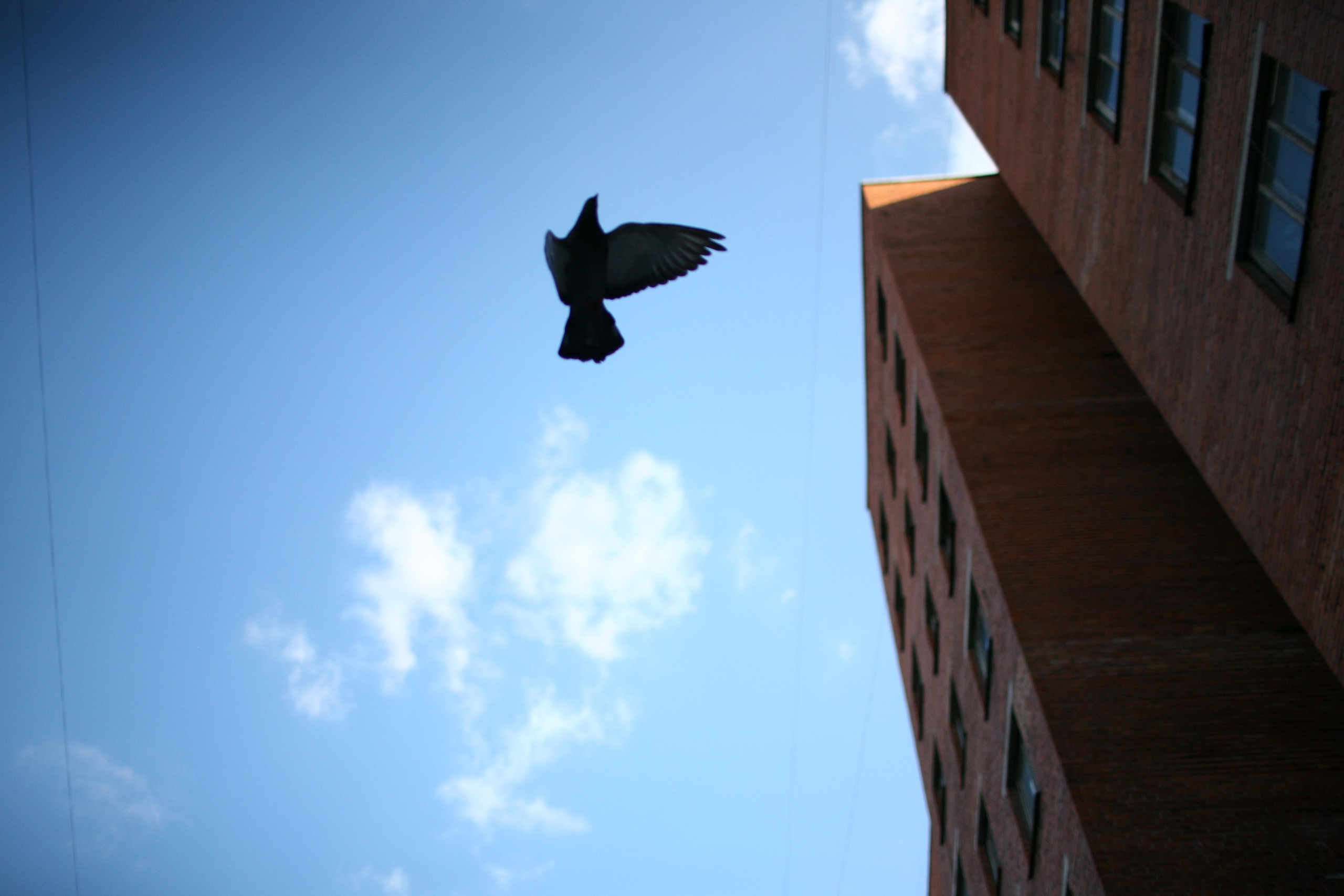 My little big child. Victoria Dini. Art photography in London / Folkestone, UK