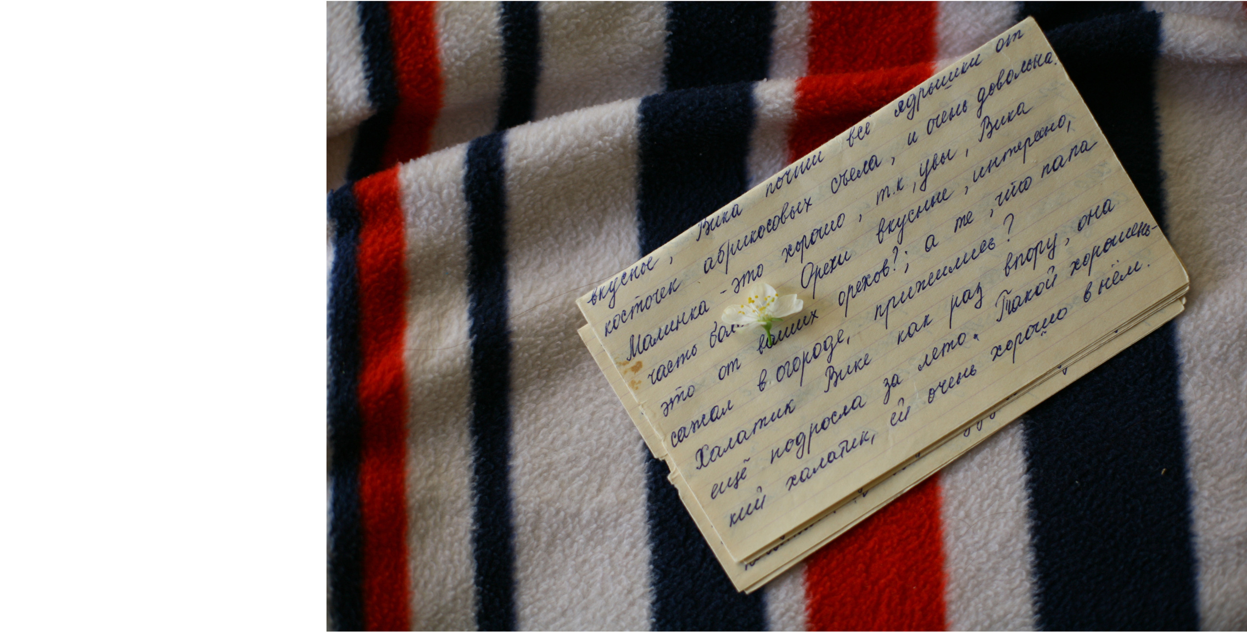 Письма моей матери. Виктория Дини. Арт-фотография