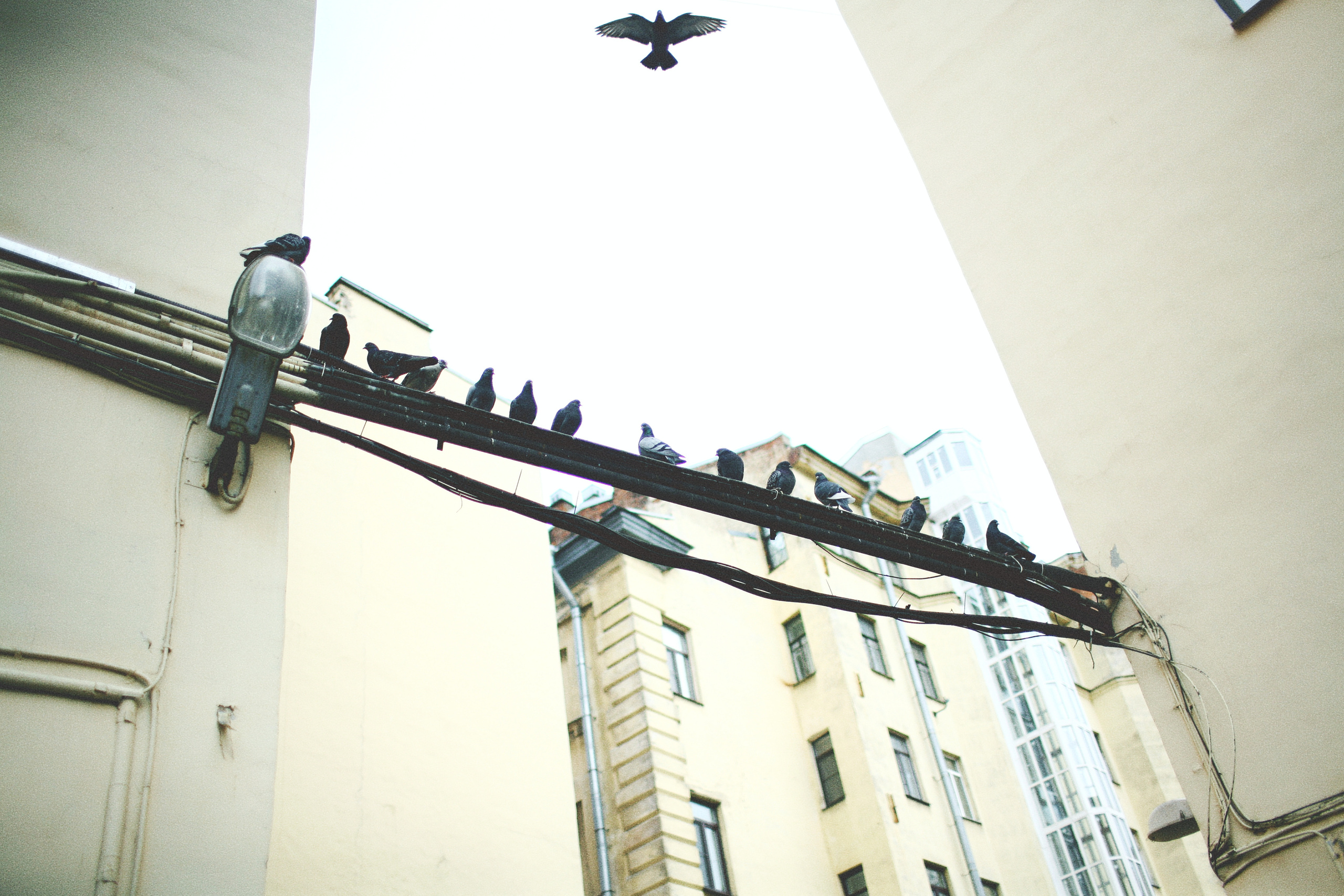 Anna and her Piterdays. Виктория Дини. Арт-фотография