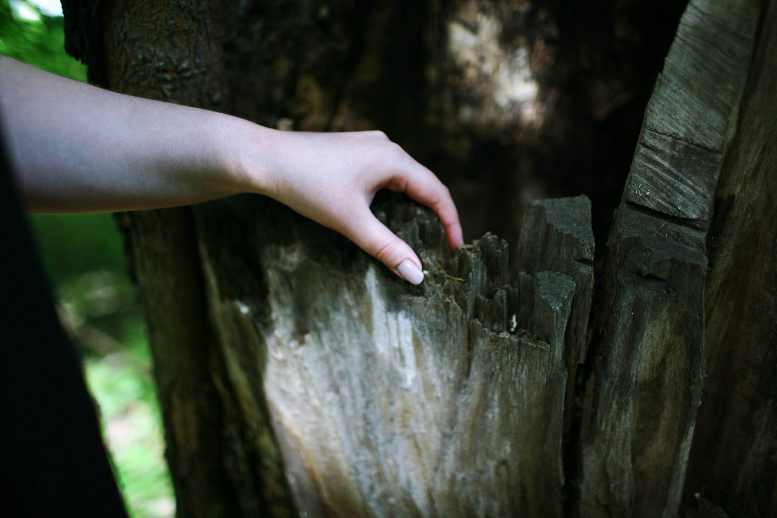 Milena, driades' daughter. Victoria Dini. Art photography in London / Folkestone, UK