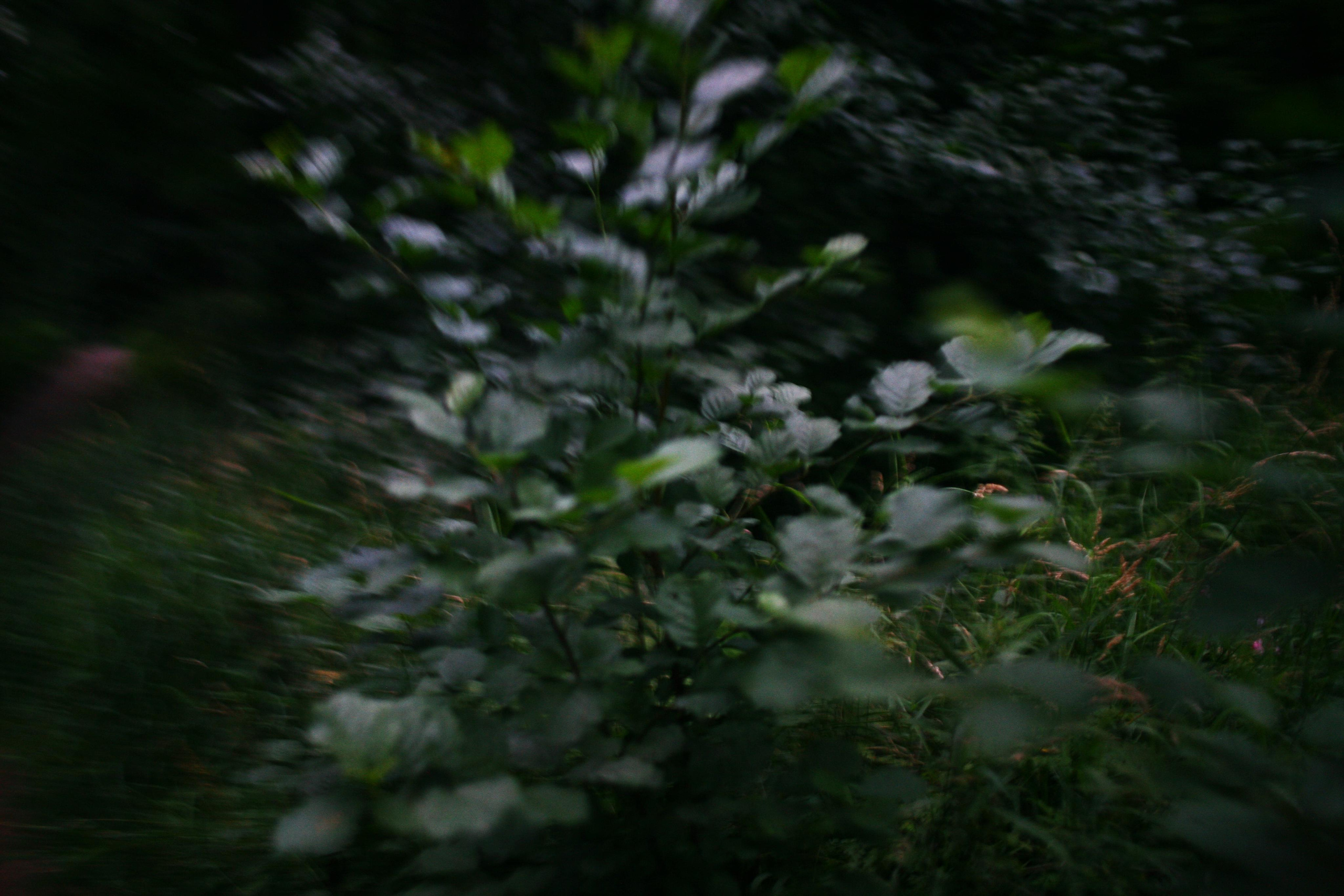 Anna and the fire. Victoria Dini. Art photography in London / Folkestone, UK