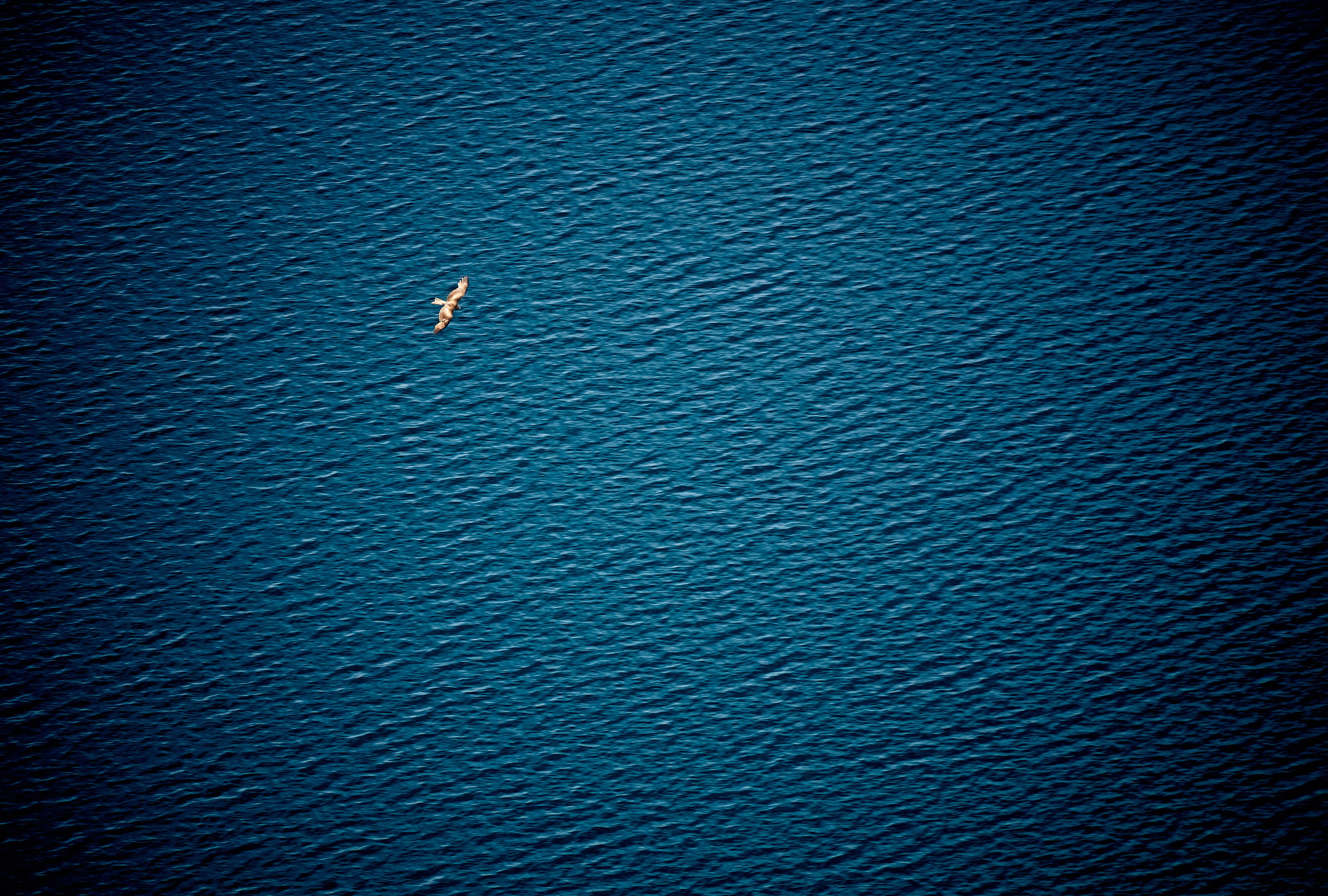 Sibiny (Kazachstan). Andriej Szypilow — Photography & Videography