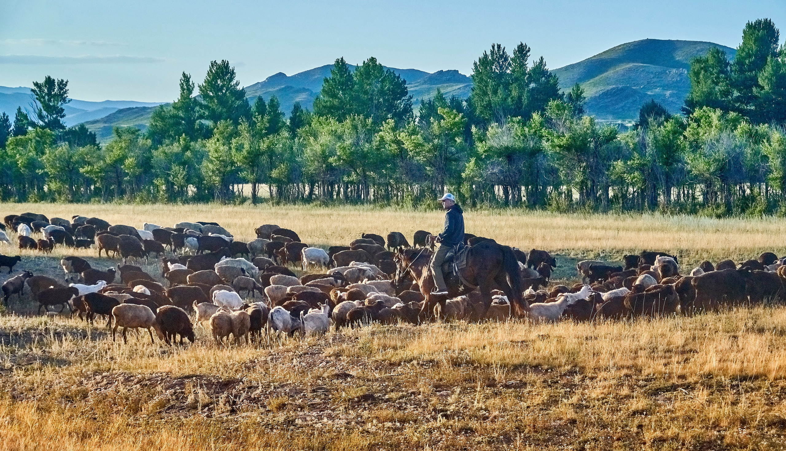 Sibiny (Kazachstan). Andriej Szypilow — Photography & Videography