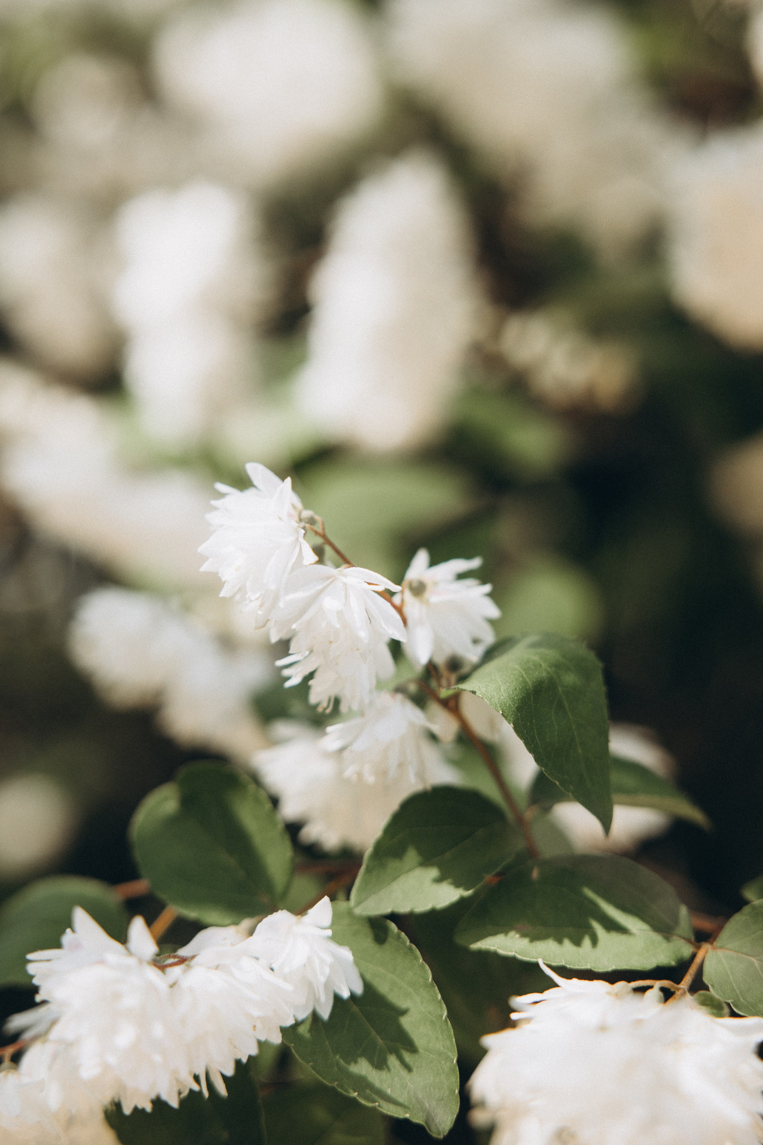 Mother-daughter photoshoot at Jardin Japonais de Toulouse. Eugénie Smirnova — Photographe à Toulouse et dans le Sud-Ouest