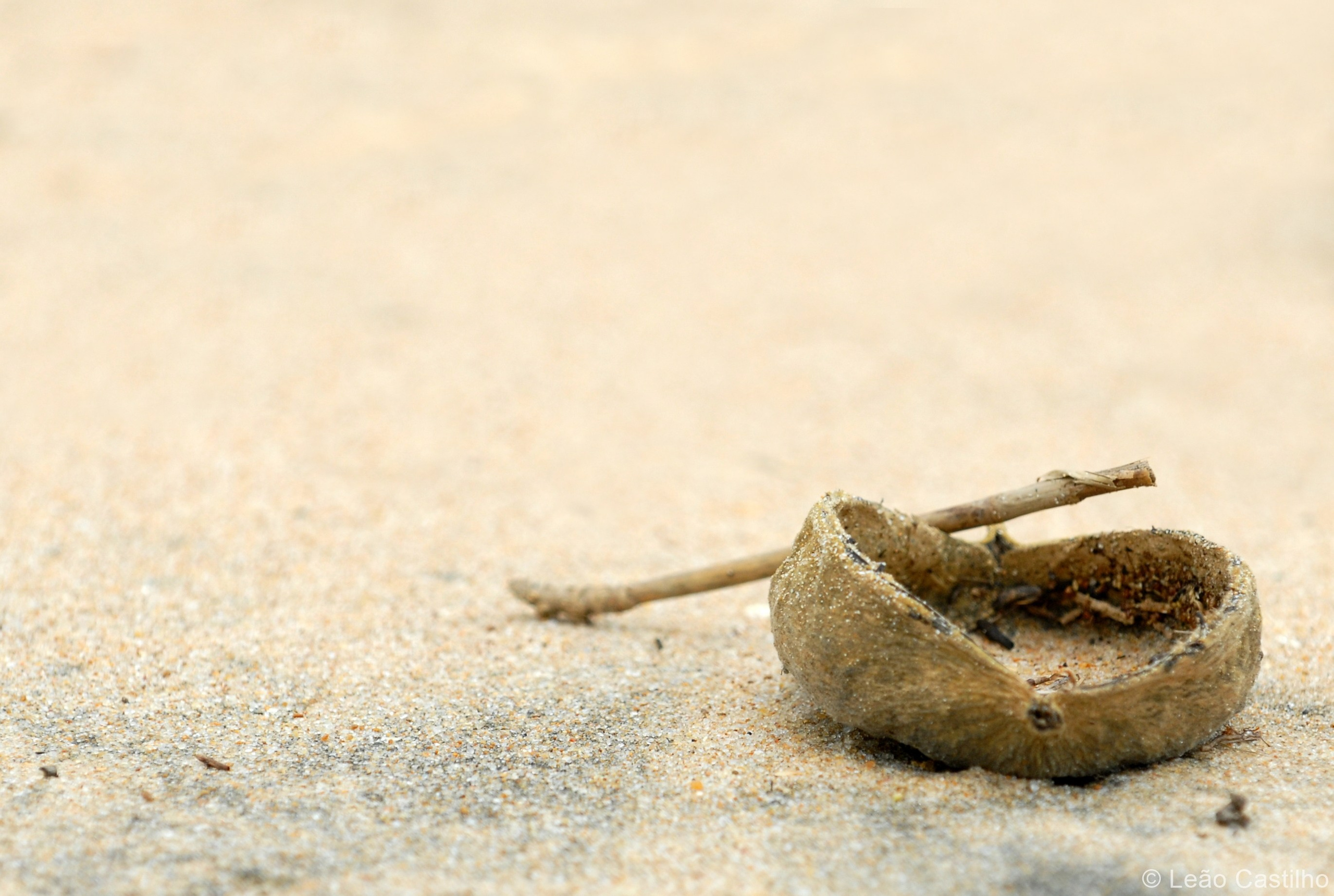 Photos from Angola. Simbahalu