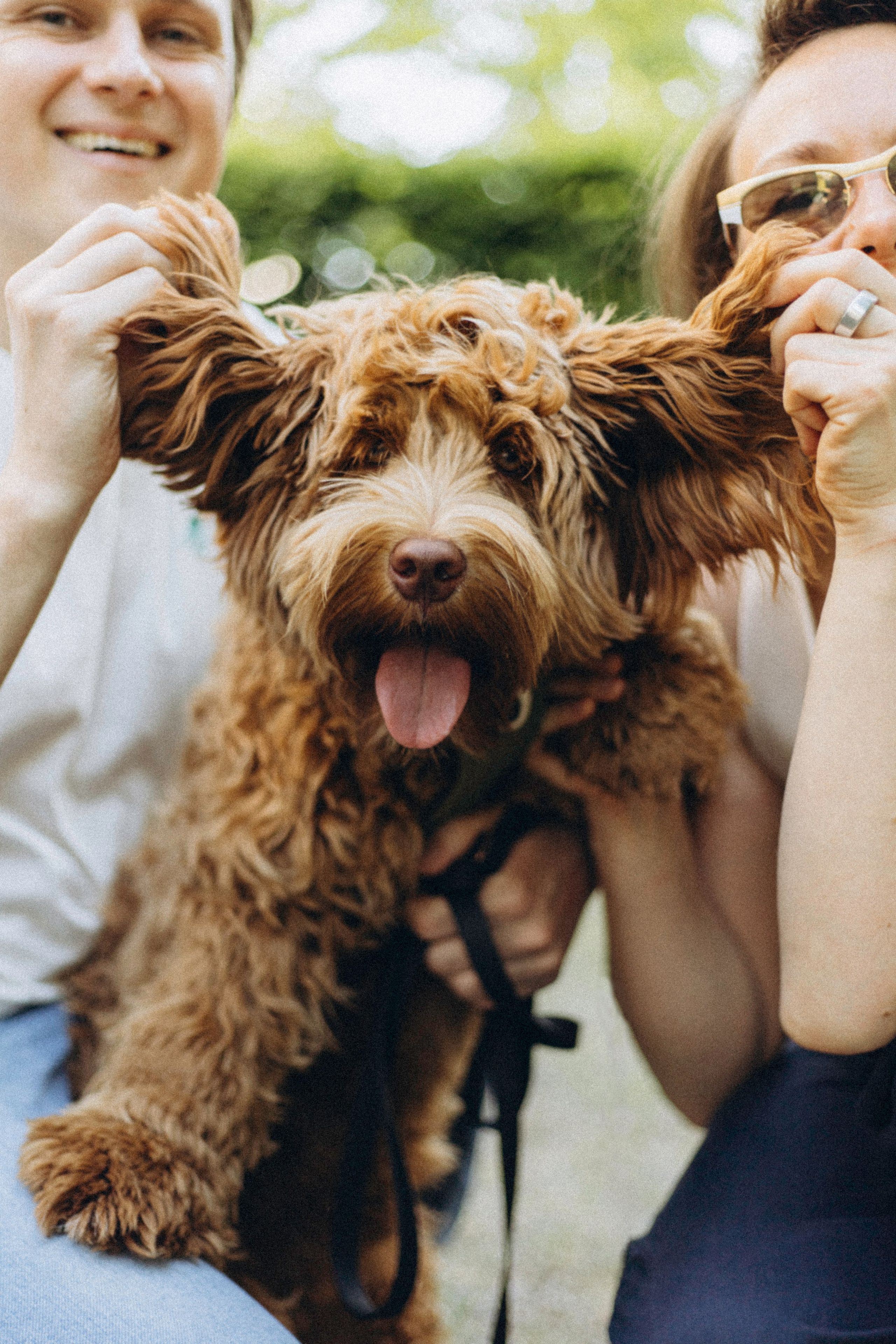 Pets. Photographer Düsseldorf, Cologne, NRW — Kristina Braudo