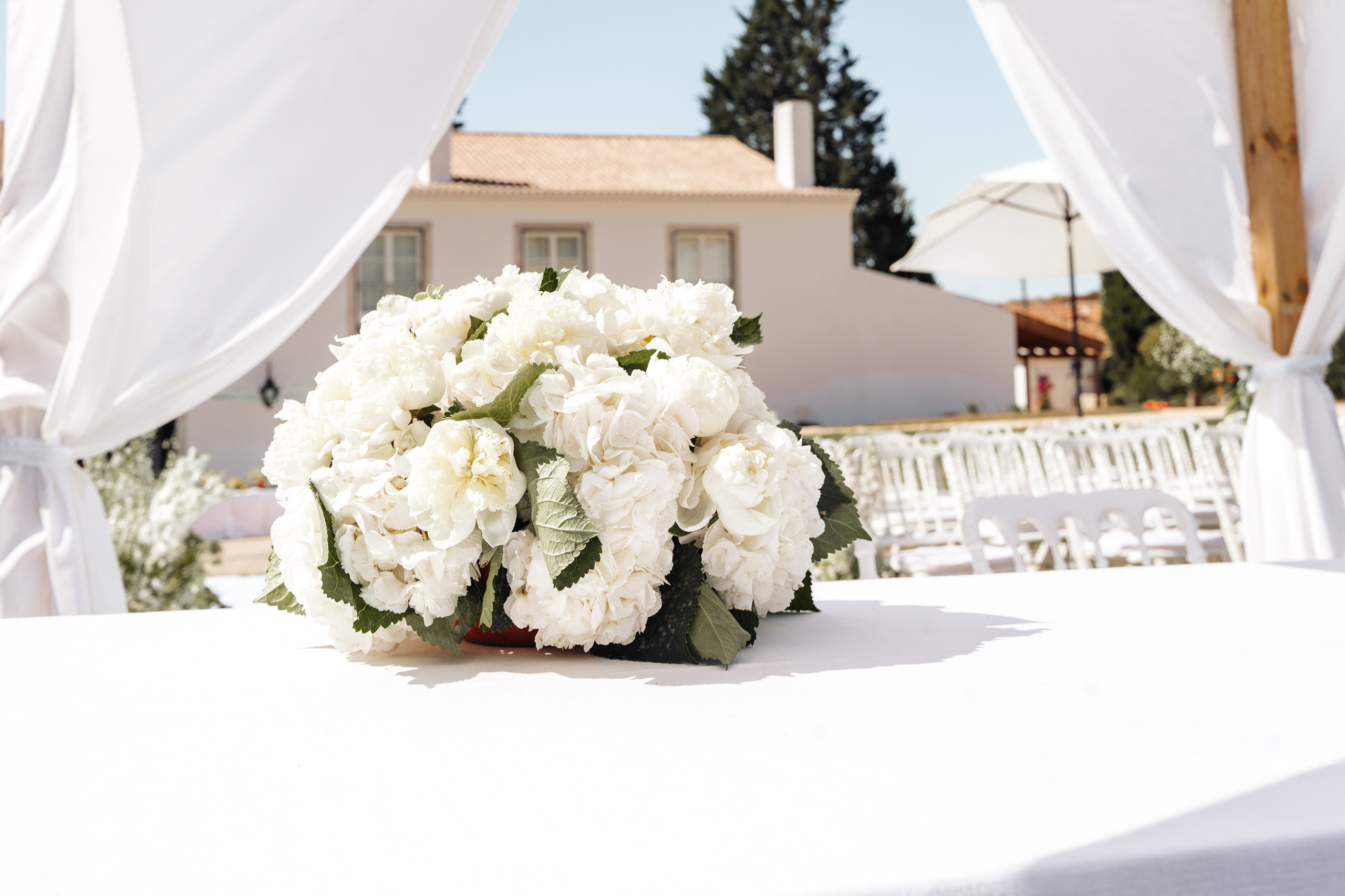 Свадьба Дарья и Франциско. Фотограф в Португалии Александра Ефимова