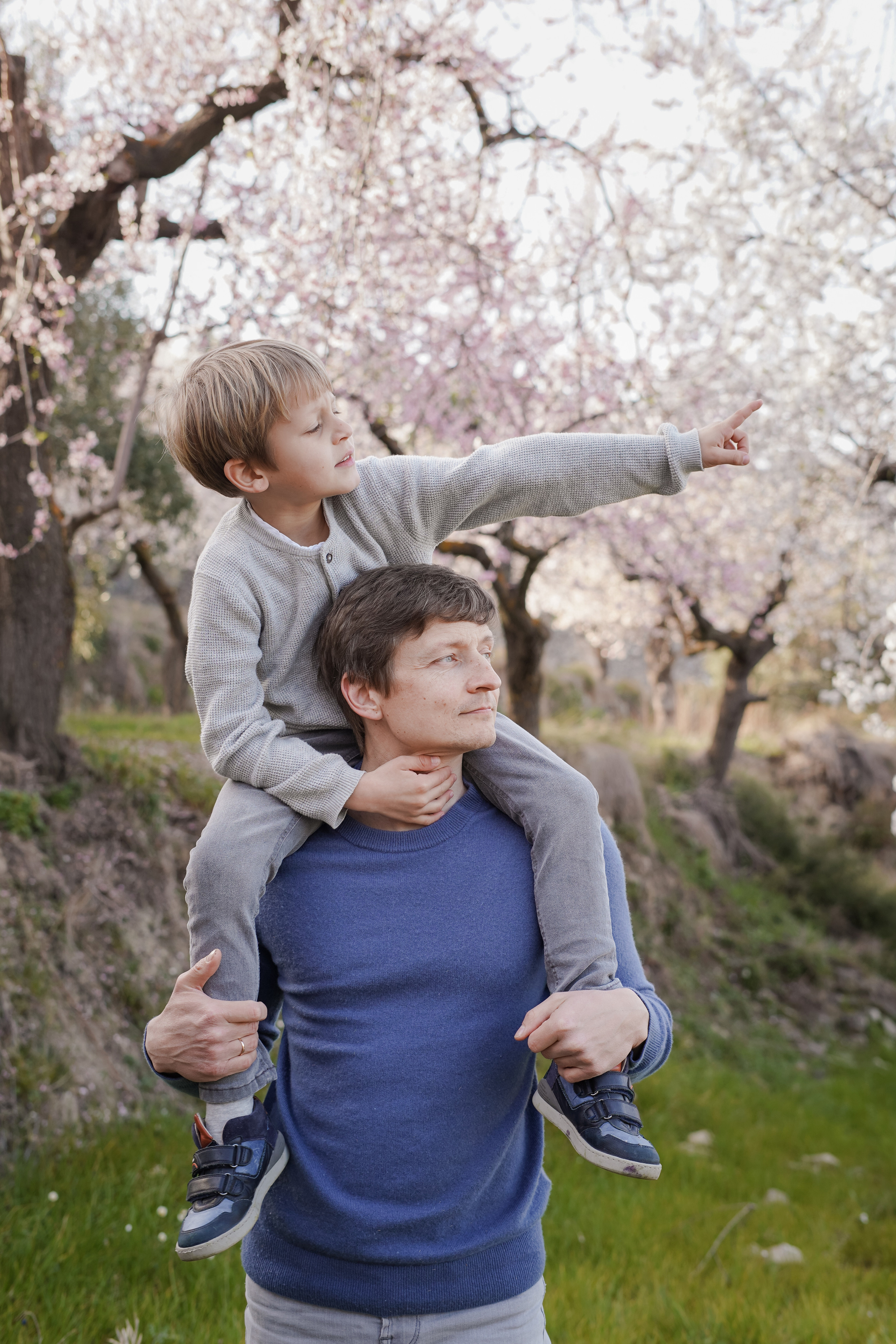 Миндальные сады. Семья. Индивидуальный, семейный, свадебный фотограф Бенидорм Диана Меметова