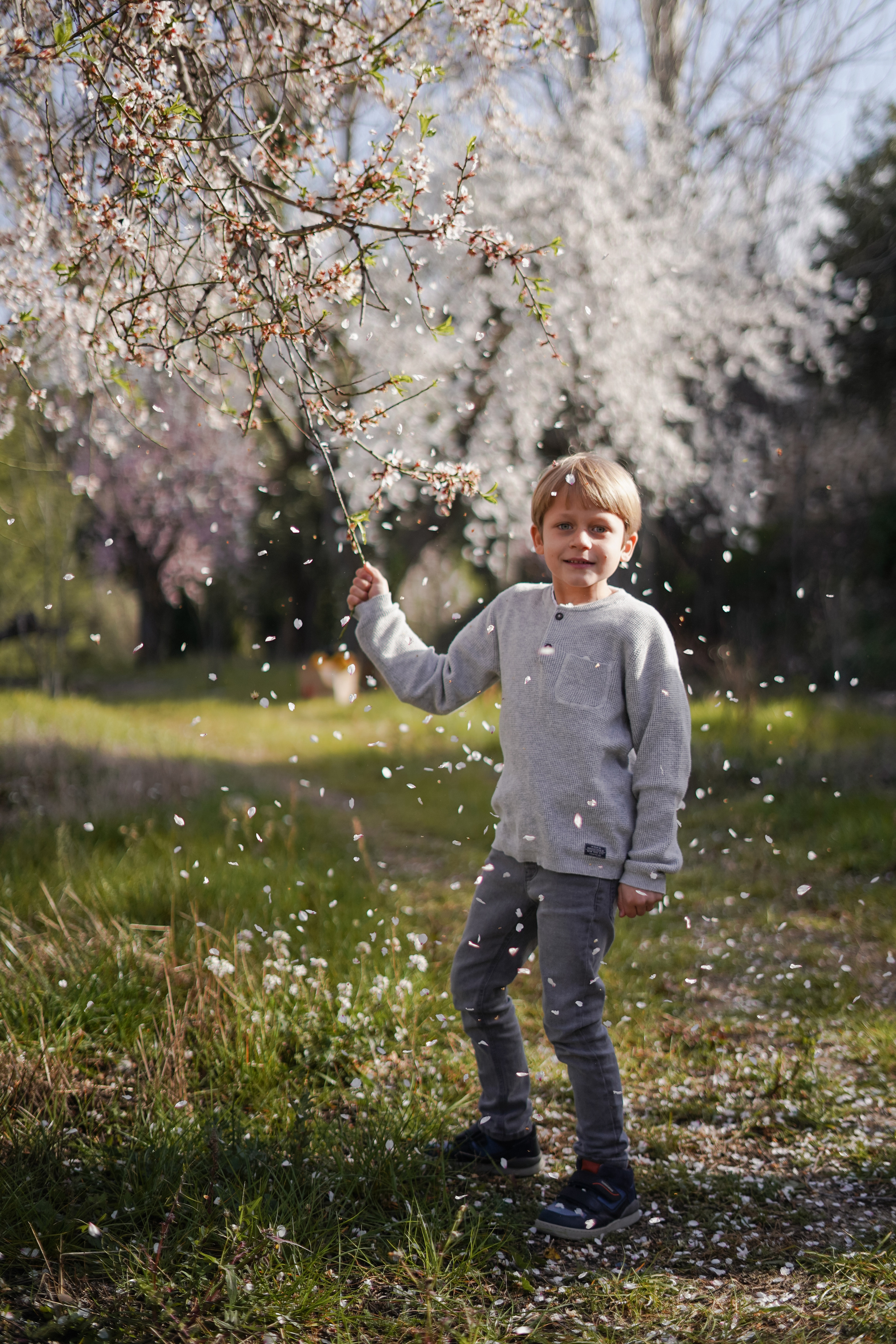 Миндальные сады. Семья. Индивидуальный, семейный, свадебный фотограф Бенидорм Диана Меметова