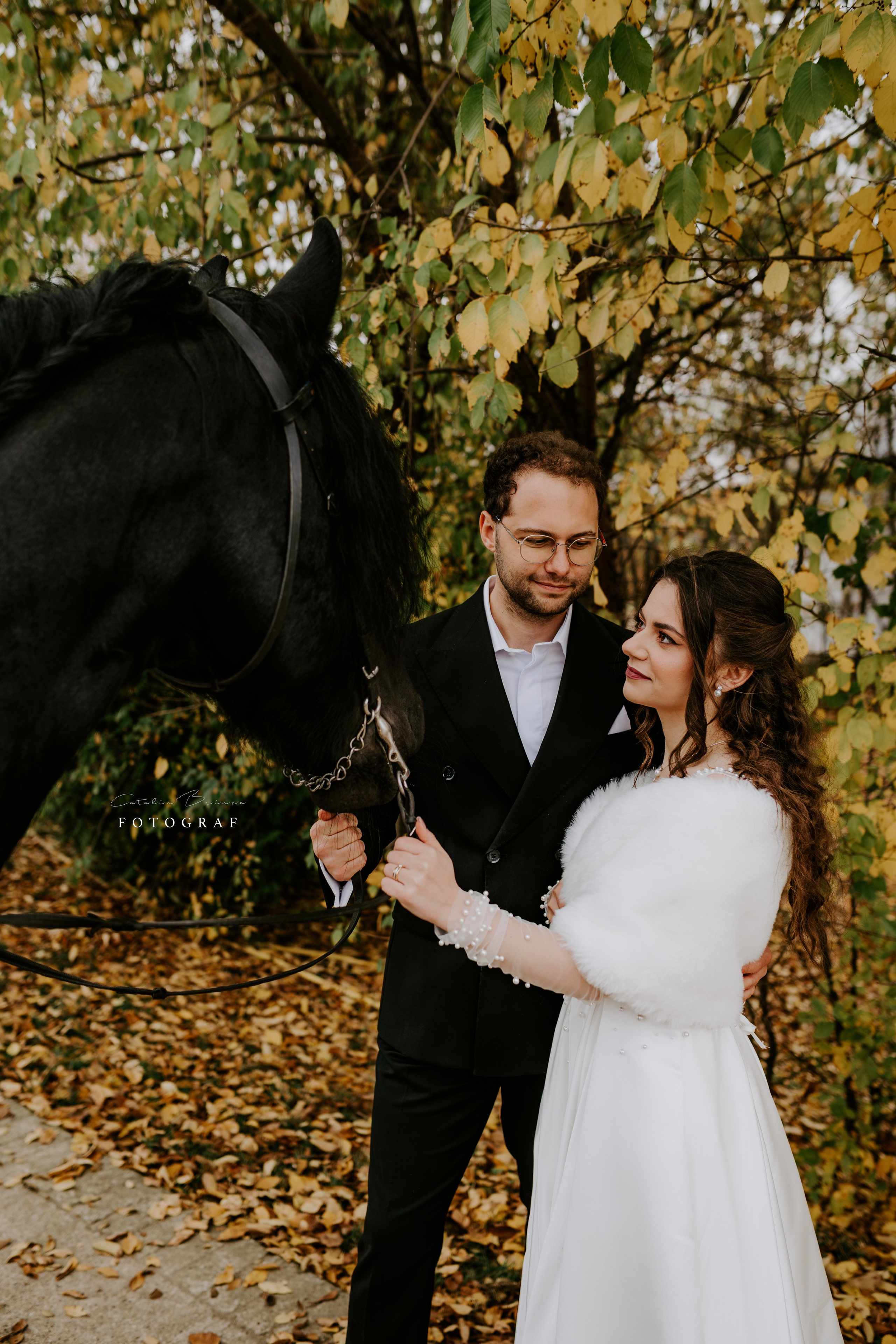 TTD — Ioana&Stefan. Catalin Brinza