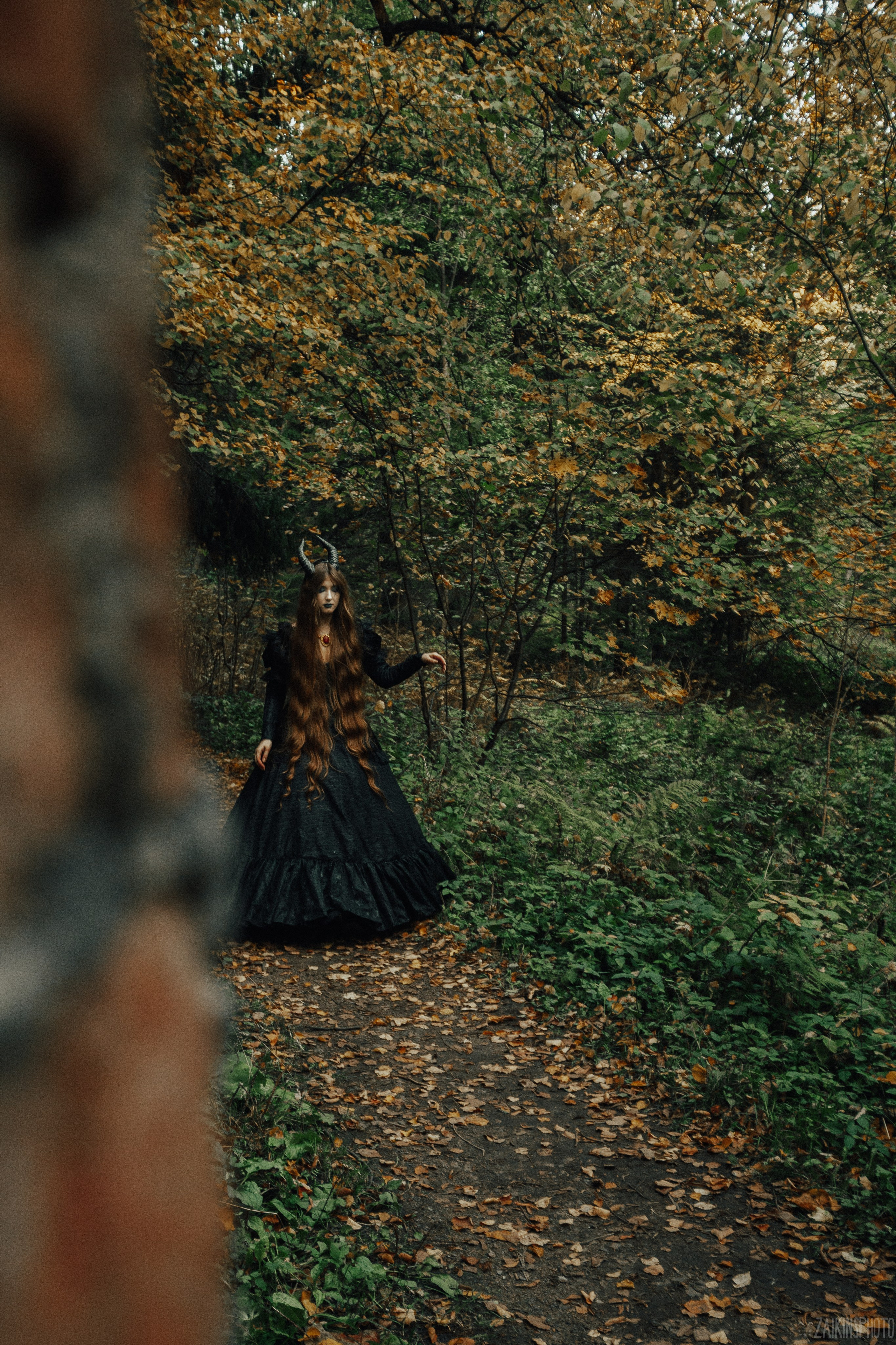 The Dark Autumn. Main