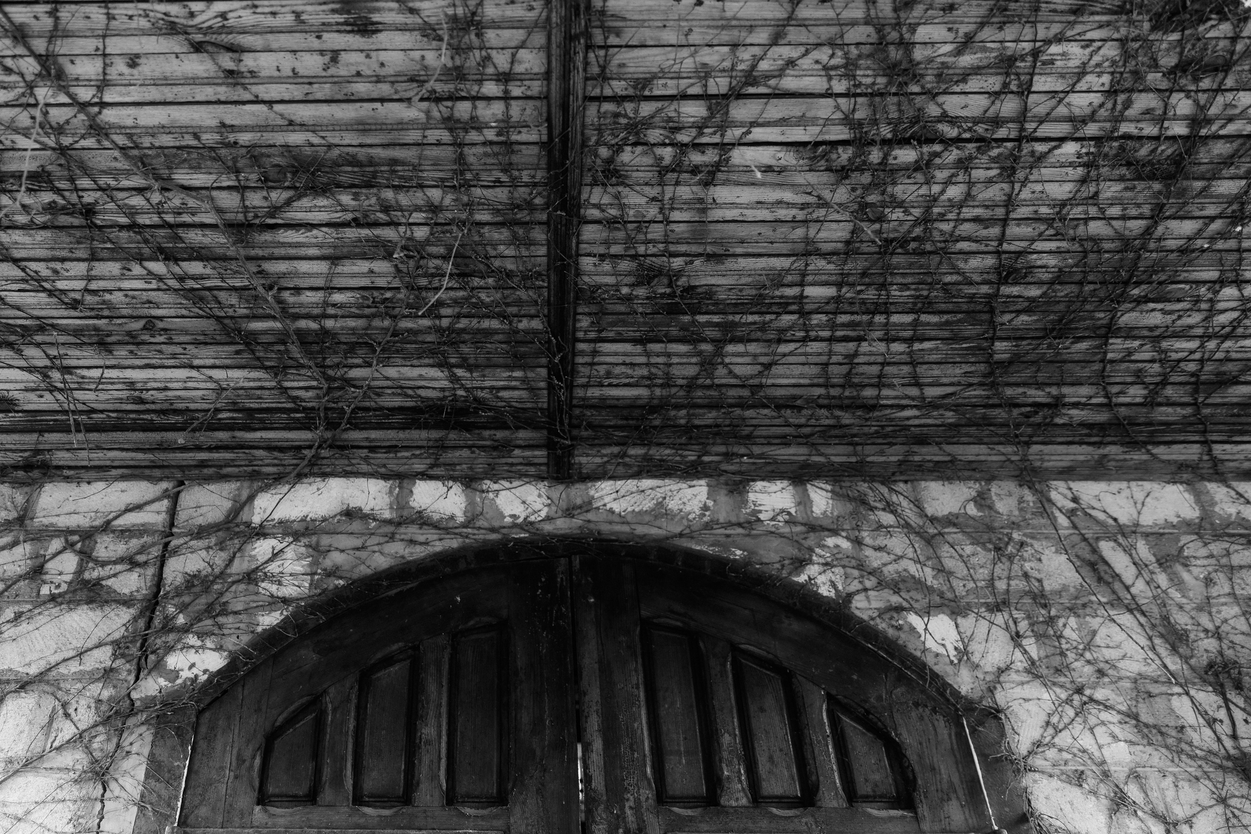 Wedding — Dumitru & Victoria. Fulga Photographer