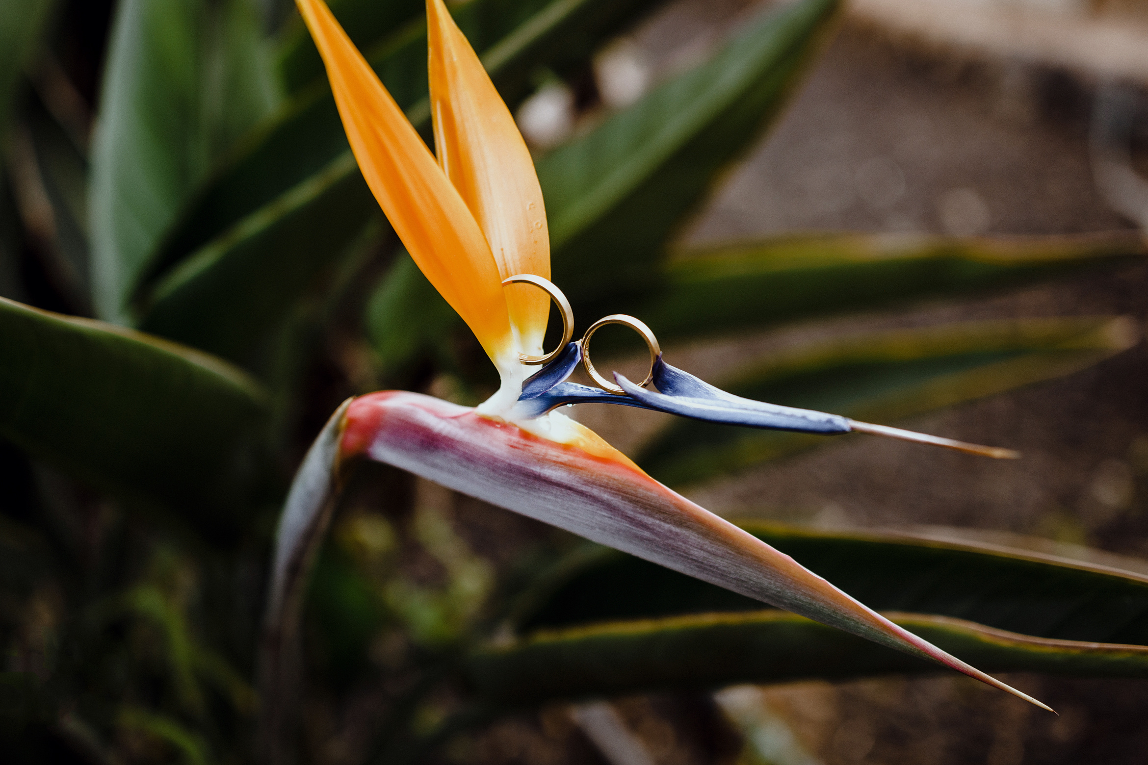 Свадебный фотограф Тенерифе. Фотограф Тенерифе Эдгар Зубарев