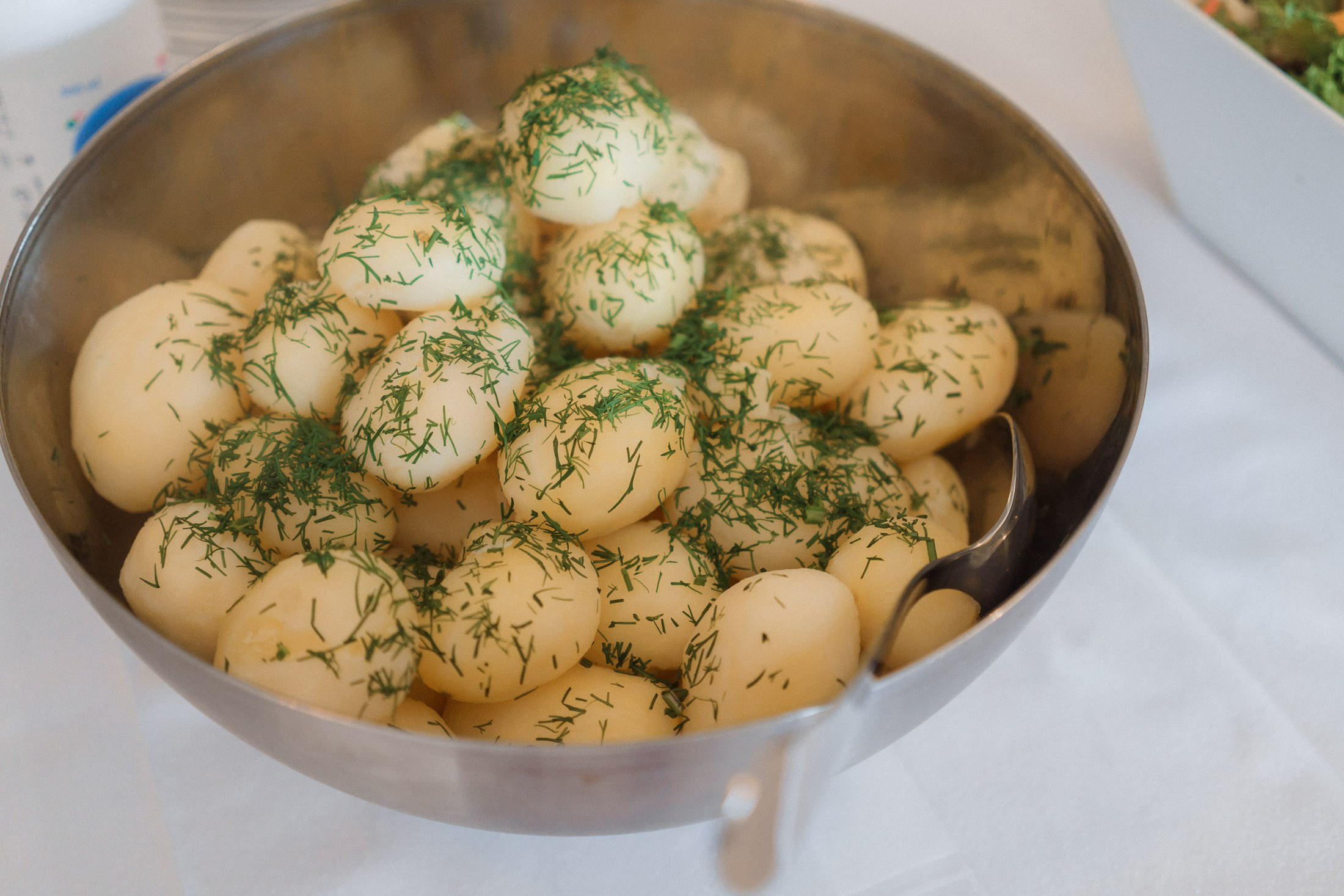 Silja&Arttu, hääkuvaus Sipoossa