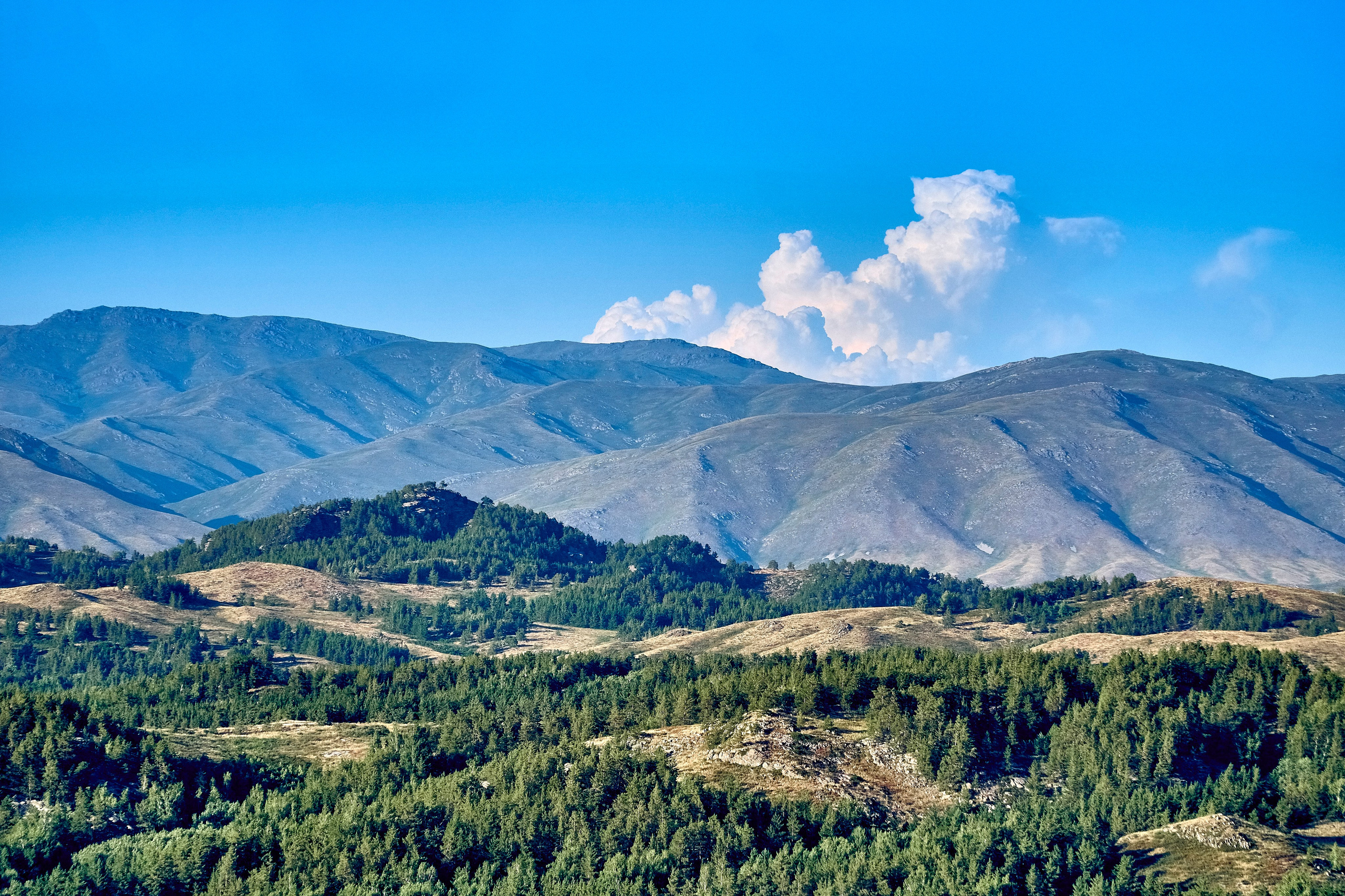 Бухтарма. Андрей Шипилов — Фотография & Видеография