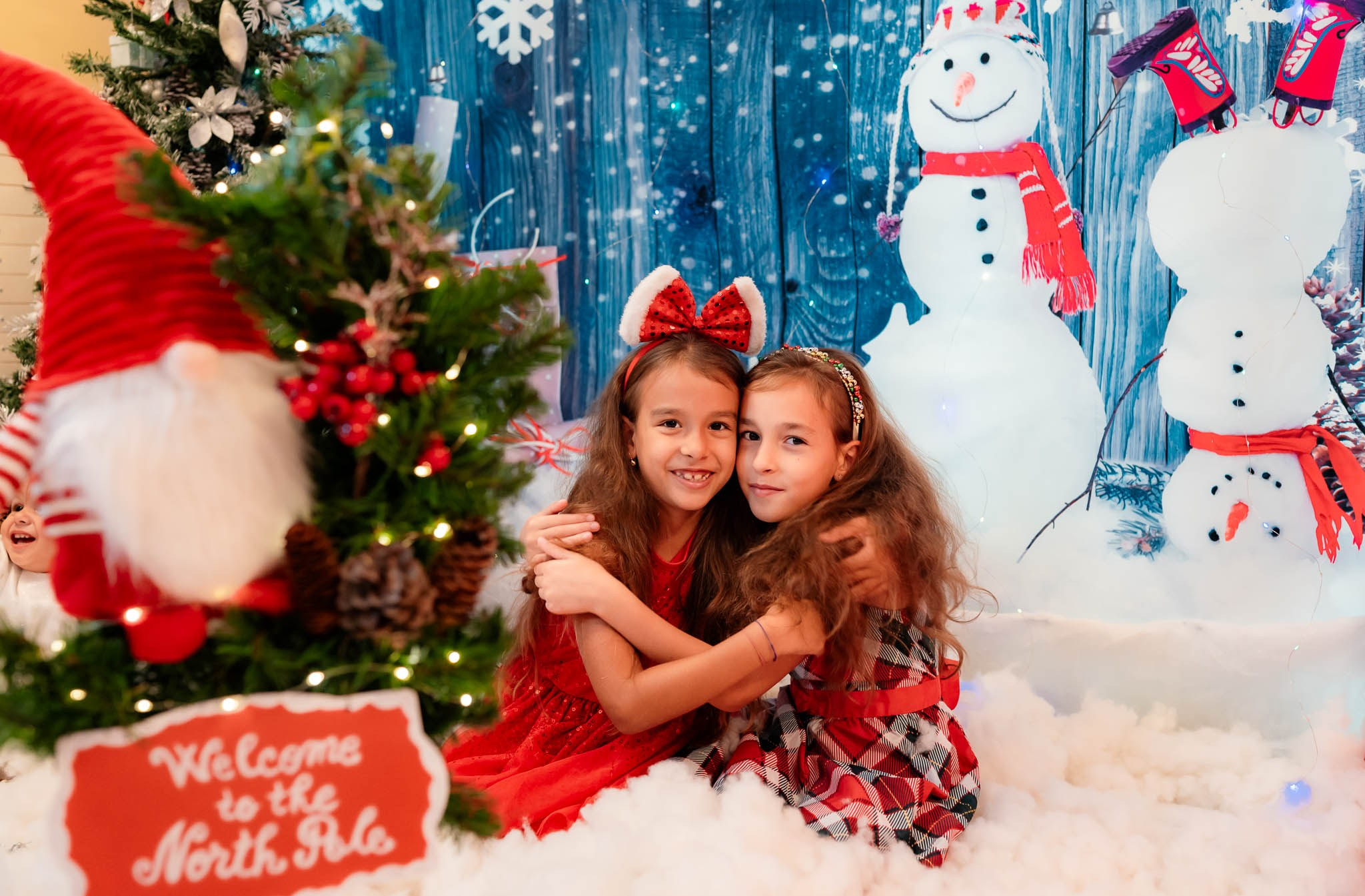 Sedinta Craciun Alina