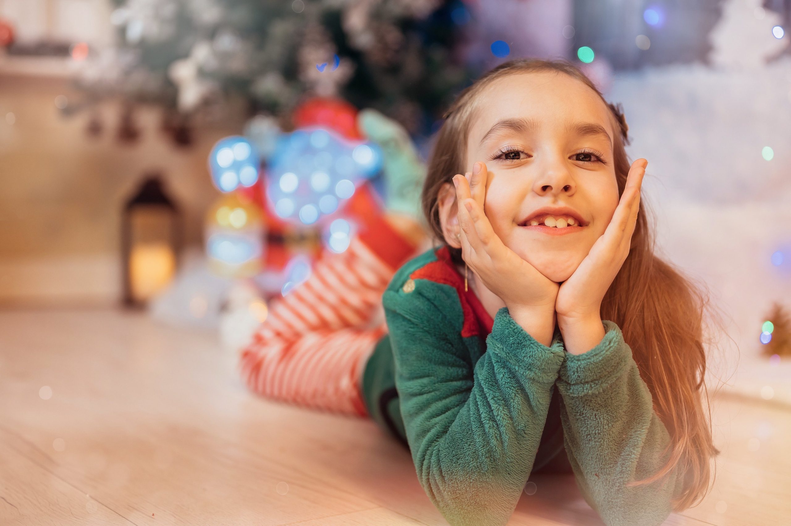 Sedinta Craciun Sofia