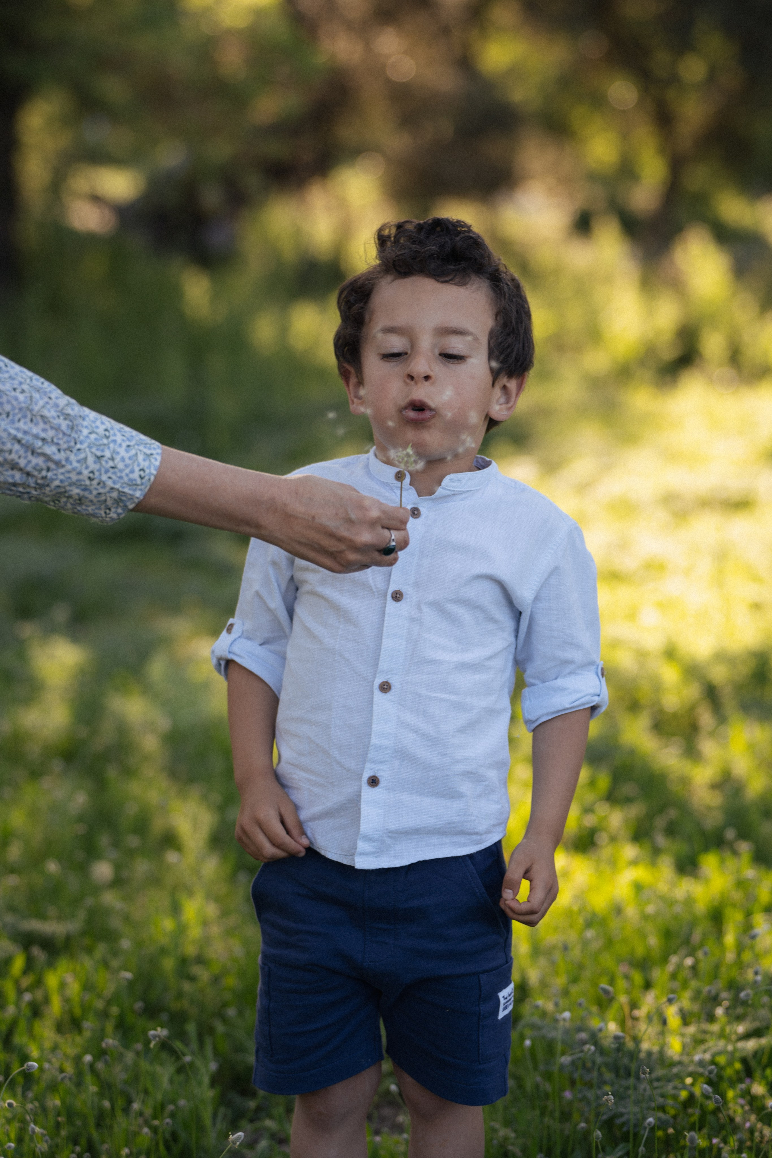 Professional Family Photography in nature. Photographer in Madrid, Spain. Alyona Belyaninova