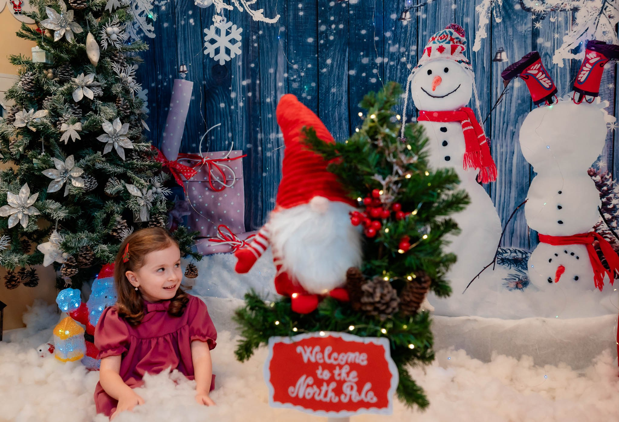 Sedinta Craciun Nicoleta