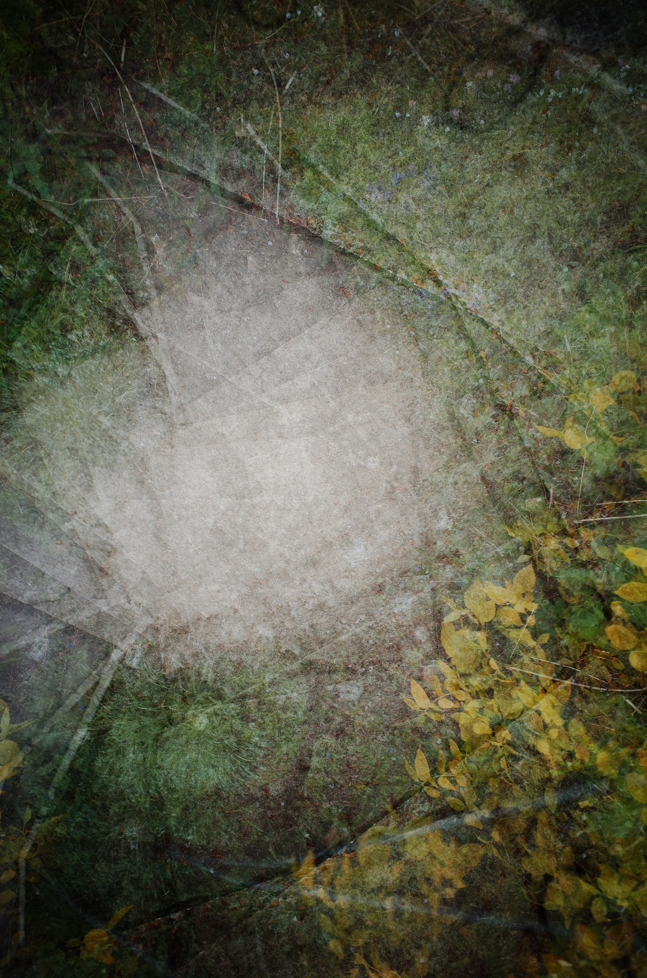 Kingsnorth in Gold. Victoria Dini. Art photography in London / Folkestone, UK