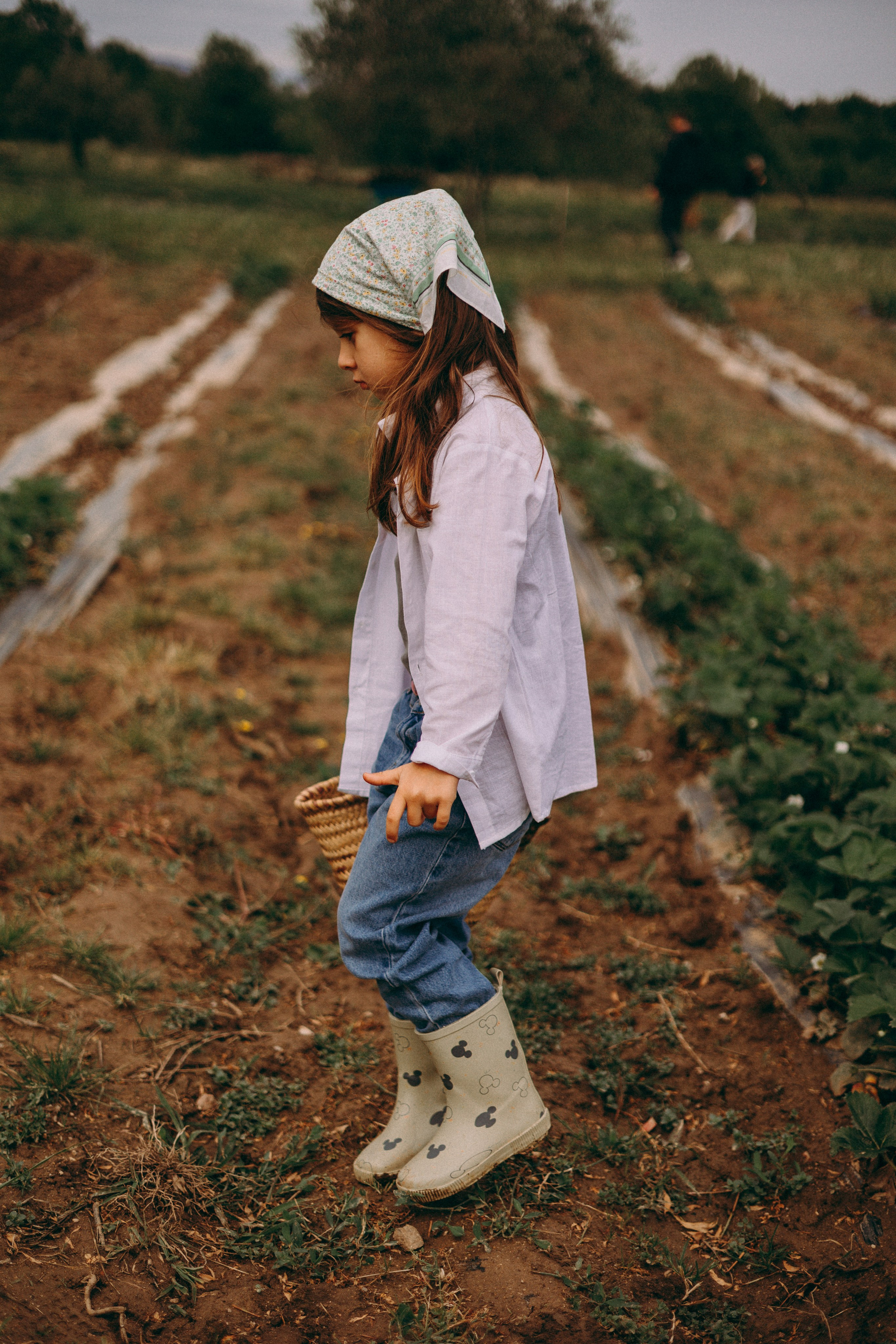 Cueilette fraise. Photographe en Côte d’Azur